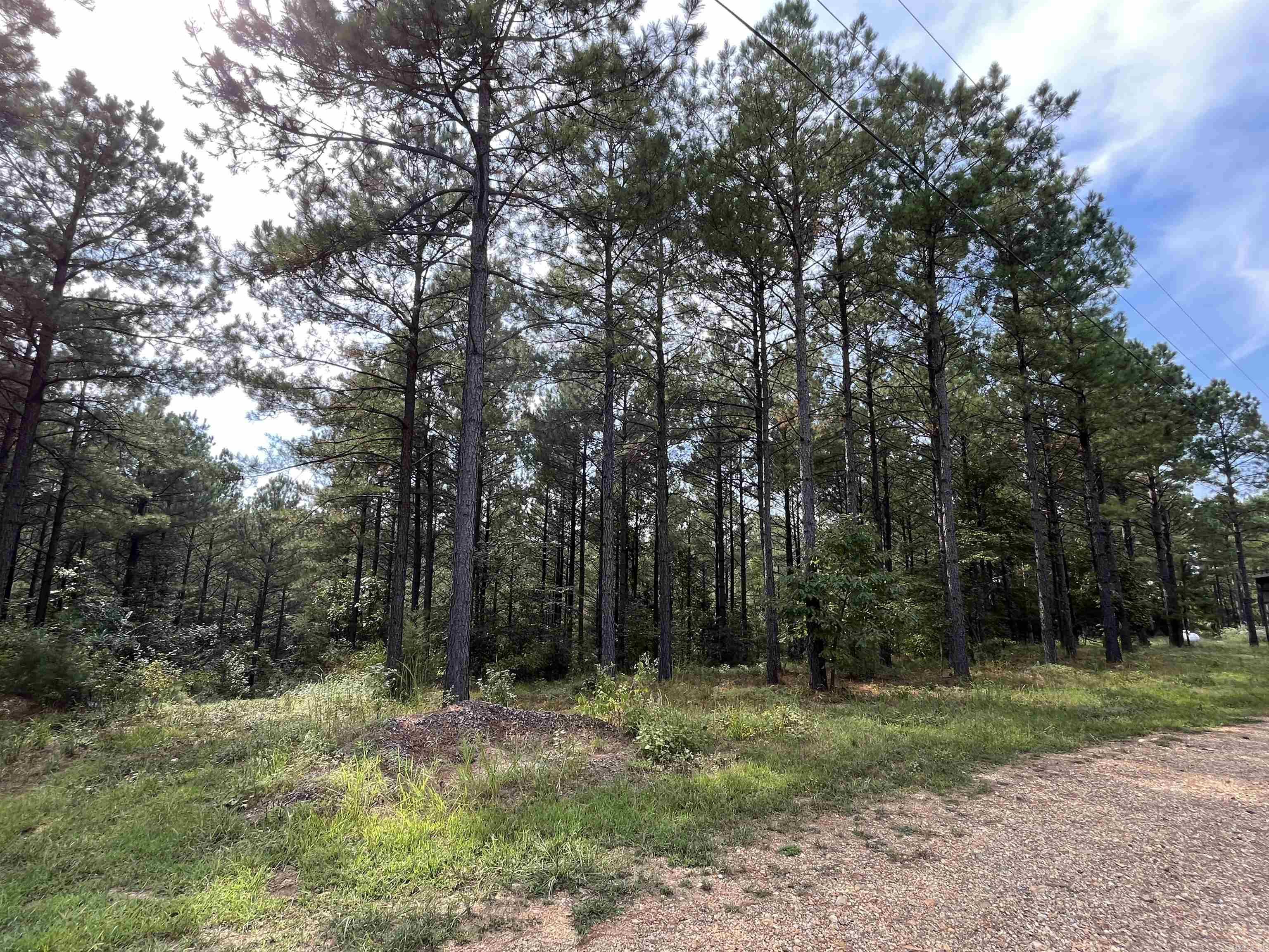 Metes & Bounds - Land