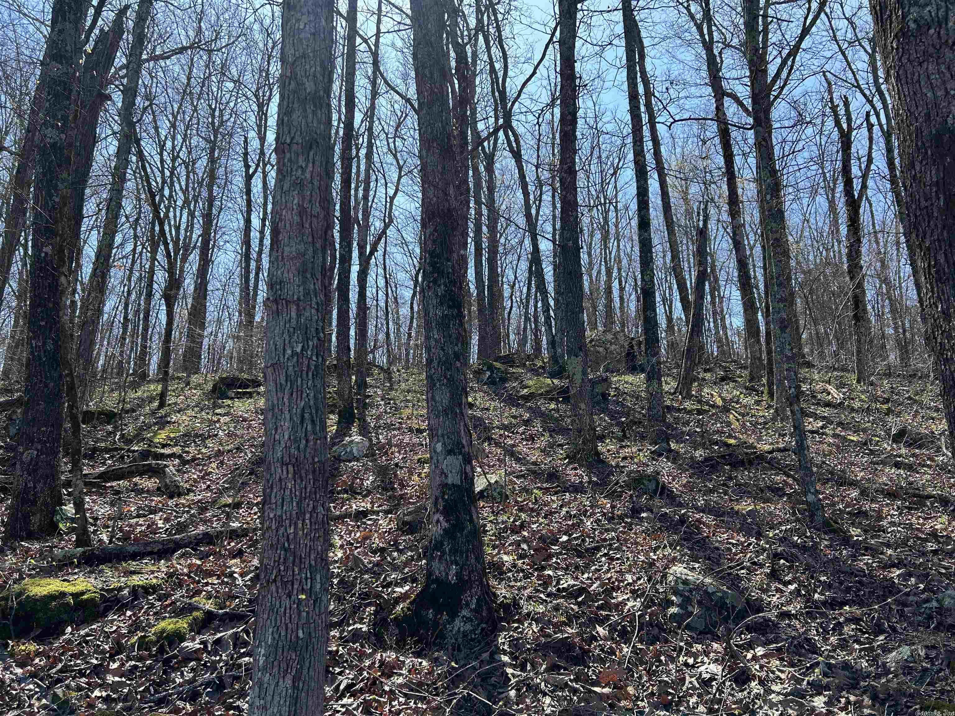 Not in Subdivision - Land