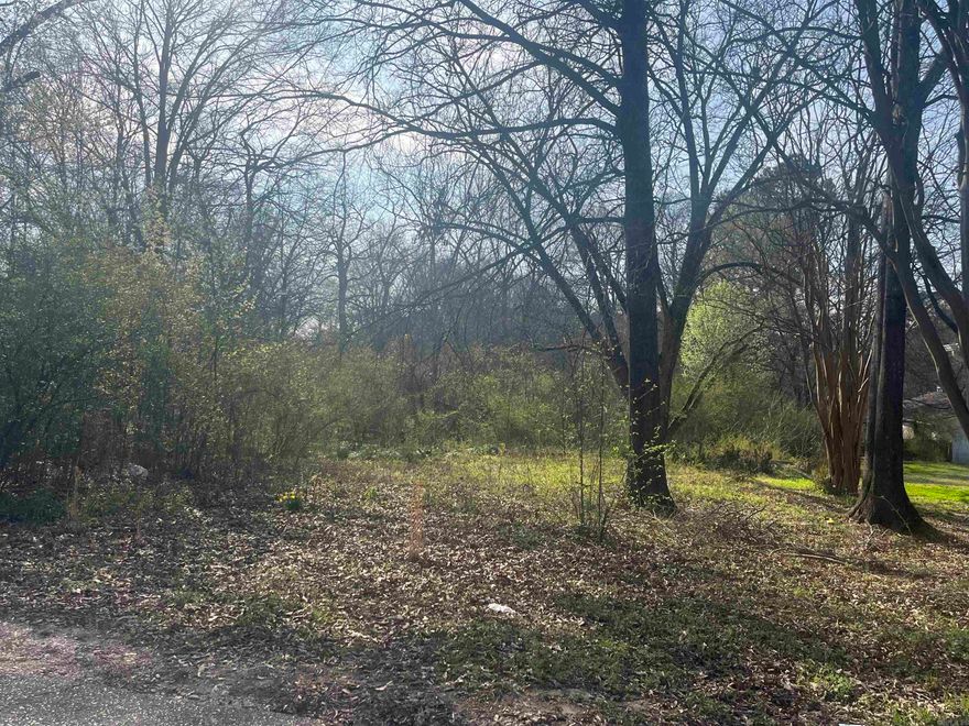 Great buildable lot located on a quiet street.  Take advantage of an incredible deal on this property.  Priced to sell!