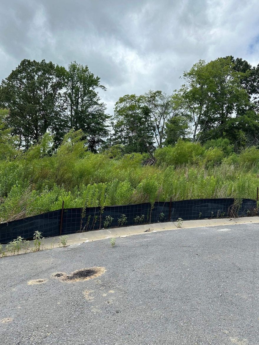 Take advantage of this opportunity to build your dream home in the subdivision of Stoney Brook in Bryant, Arkansas. This lot is conveniently located to shops, restaurants and health care. Just 15 minutes to Little Rock is hard to beat and 45 minutes to Hot Springs!