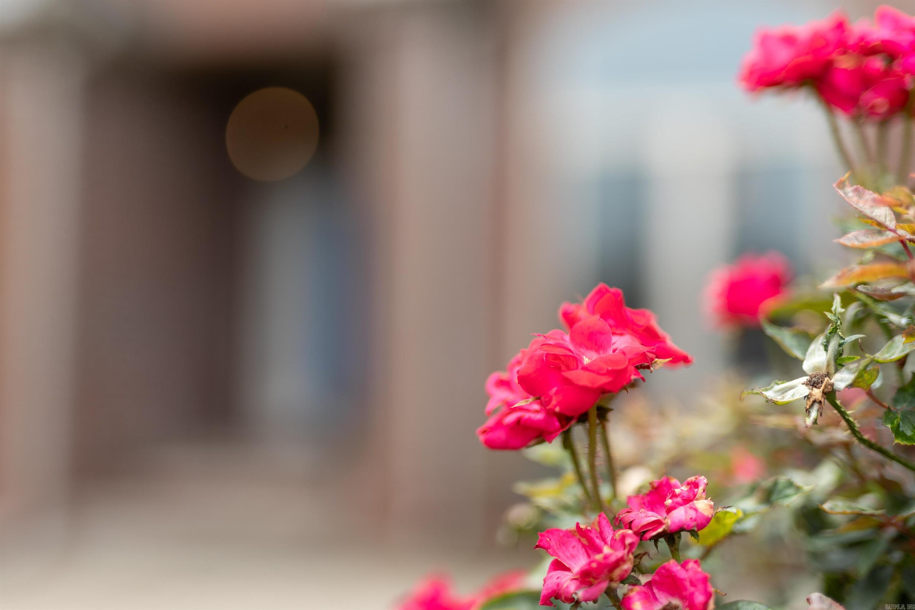 MILLERS CROSSING - Residential