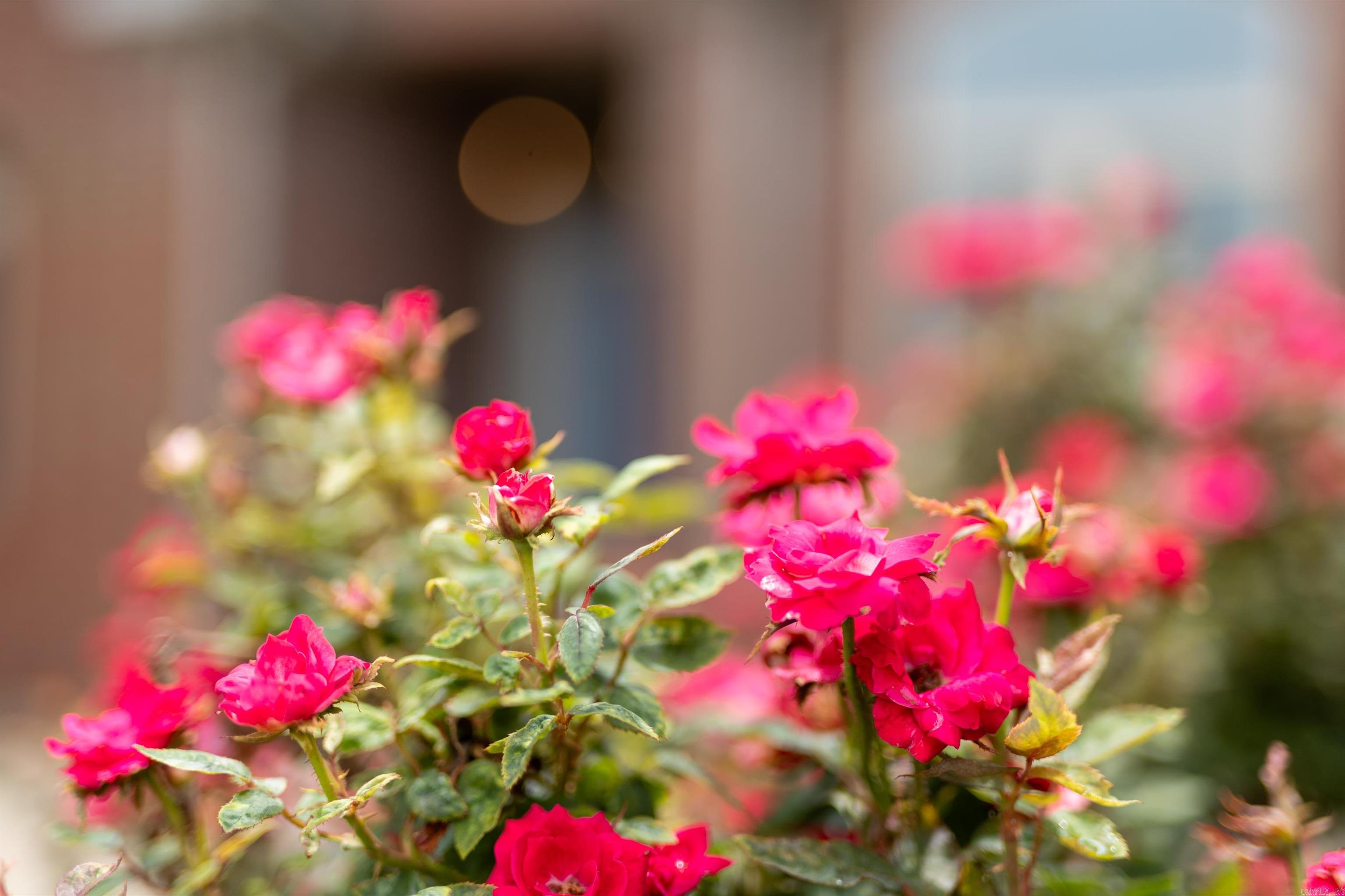 MILLERS CROSSING - Residential