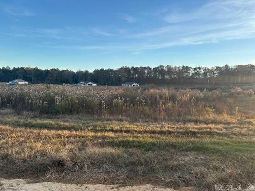 Ready to build your dream home?? Don't miss out on this 1.12 acre lot in Winchester Estates!!  Bauxite School District!!