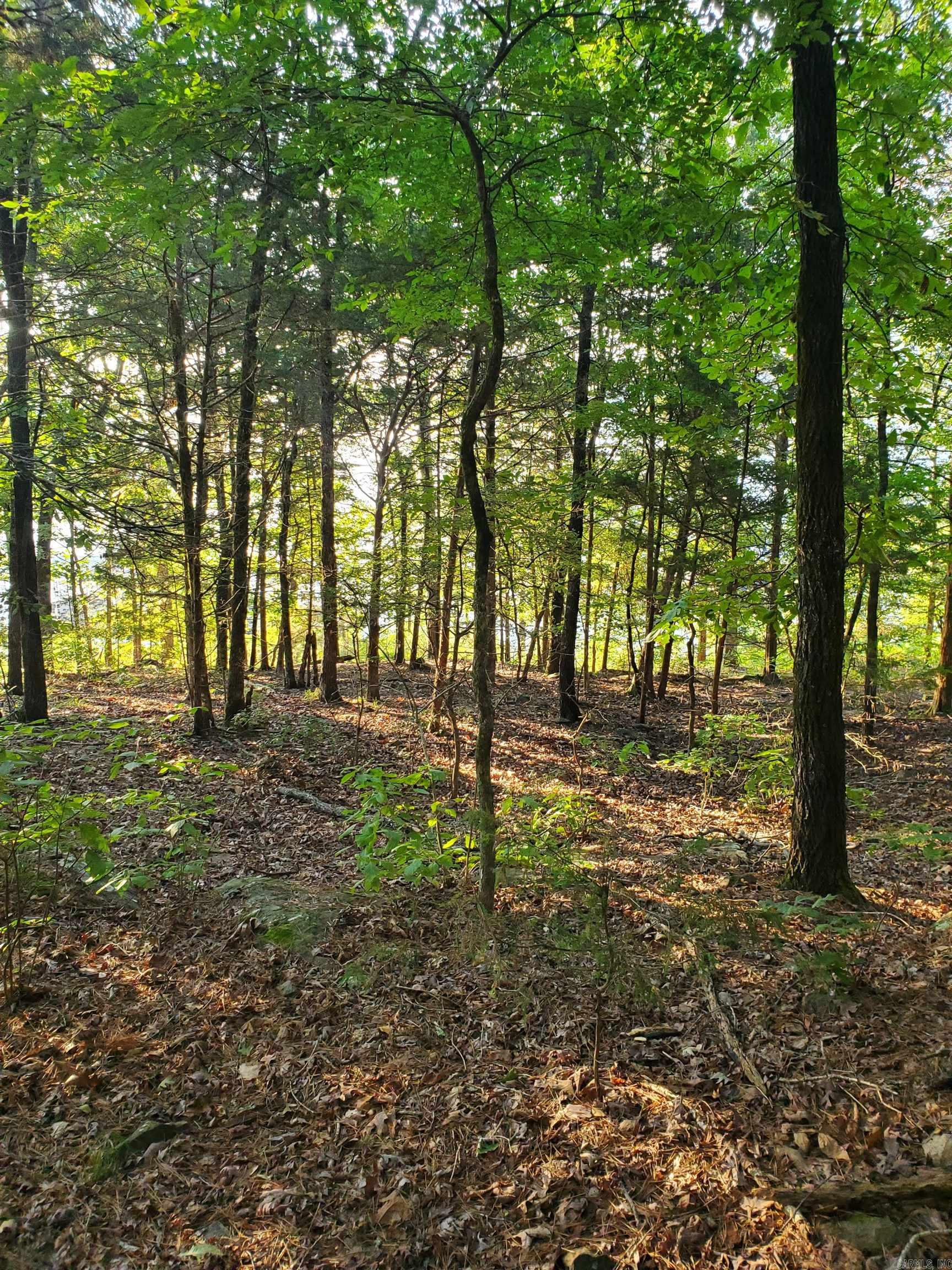 Hamilton Hills - Land