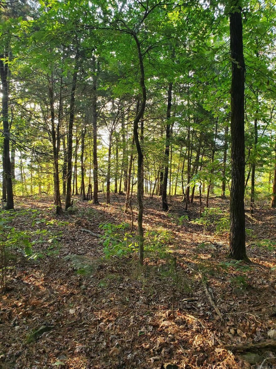 Lakefront lot in the midst of nice homes in desirable lakefront neighborhood.  Seller is an engineer that says lot can easily be filled to be buildable.  Not many lakefront lots left at this price.