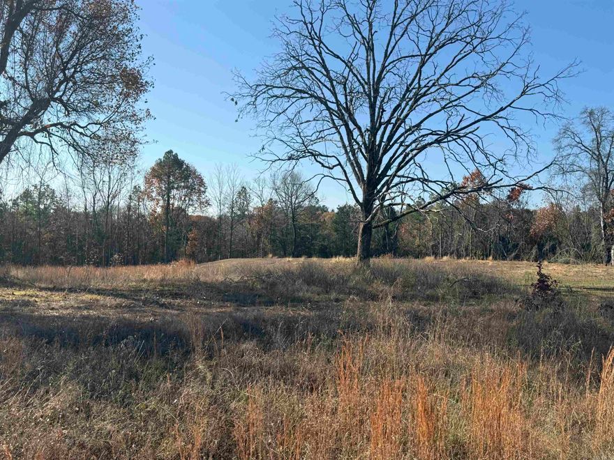 Beautiful 3 acre tract ready to build the dream home. With the already prepared house pad to build on with enough room. for a shop. There is water access in the front of the property and electric is very close to the home sight.