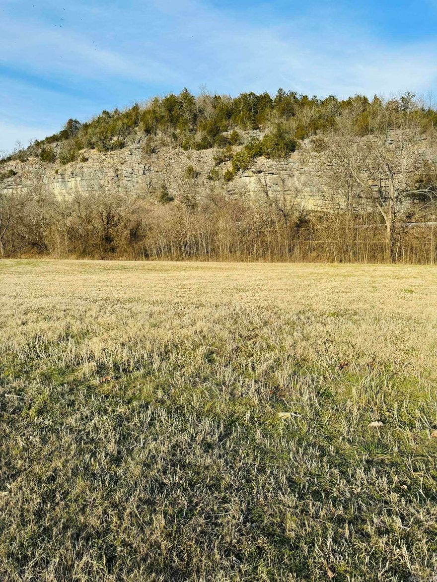 Discover the perfect haven for nature enthusiasts on this 0.85-acre river lot nestled along White River. Immerse yourself in breathtaking mountain views, creating a tranquil backdrop for your dreams. Enjoy the convenience of electricity on-site, making it easy to set up your ideal getaway. This property is only a little over 3 miles away from AGFC Boat access to the White River, making it a haven for fishing and water activities.  Embrace the freedom of outdoor living with ample space for your RV or camping setup. Create lasting memories against the backdrop of nature's beauty.