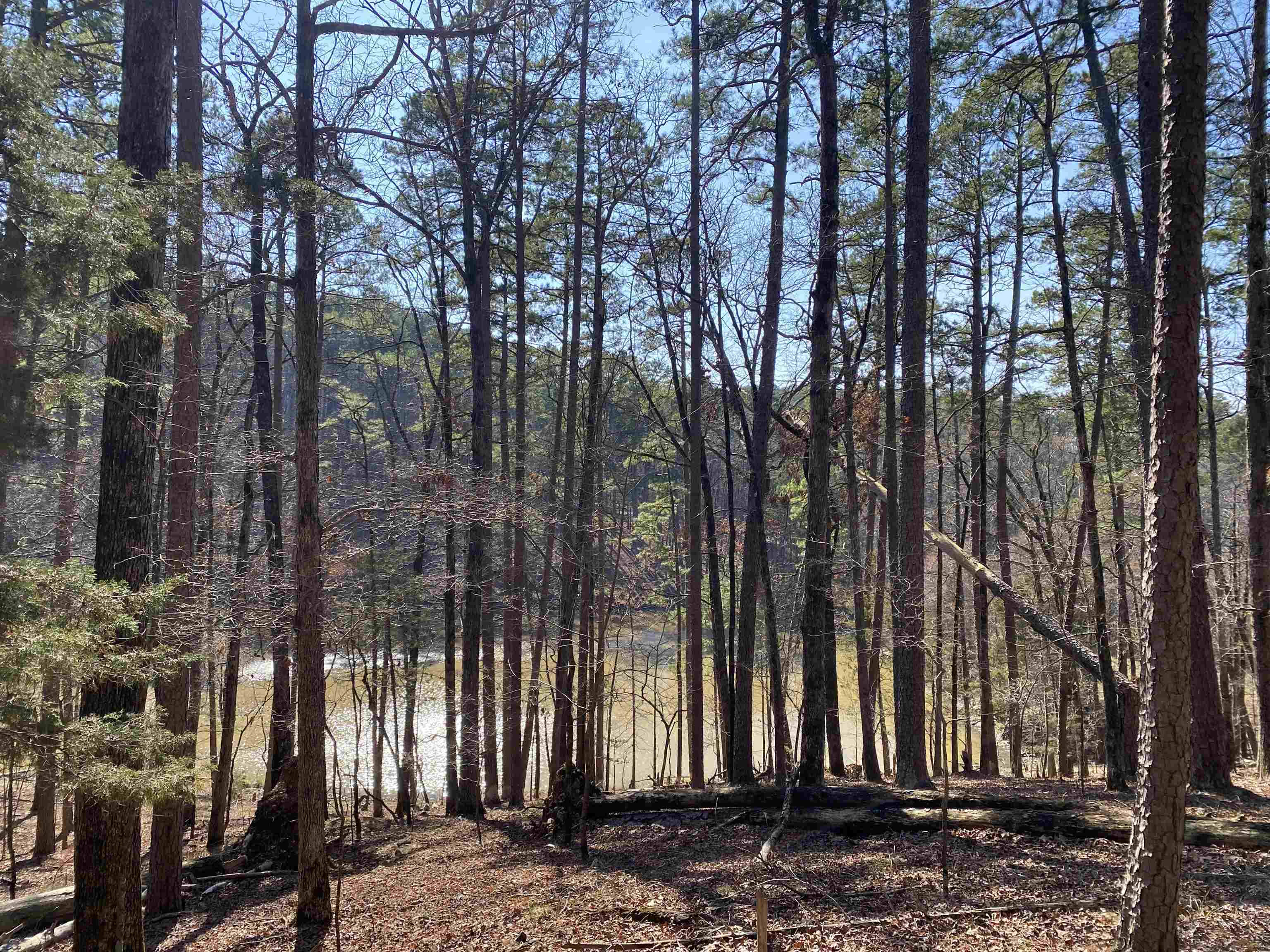 2.42 +/- acres located in the Harbor South subdivision at Mountain Harbor Resort overlooking a small lake! This lot has not been touched and is covered in a mix of native trees and wildlife! Located on a nice street with beautiful homes and seconds away from the Harbor South Park which has a swimming pool and tennis/pickle ball court. Minutes away from the Mountain Harbor lodge and marina. Don't wait, lake season is approaching quickly!