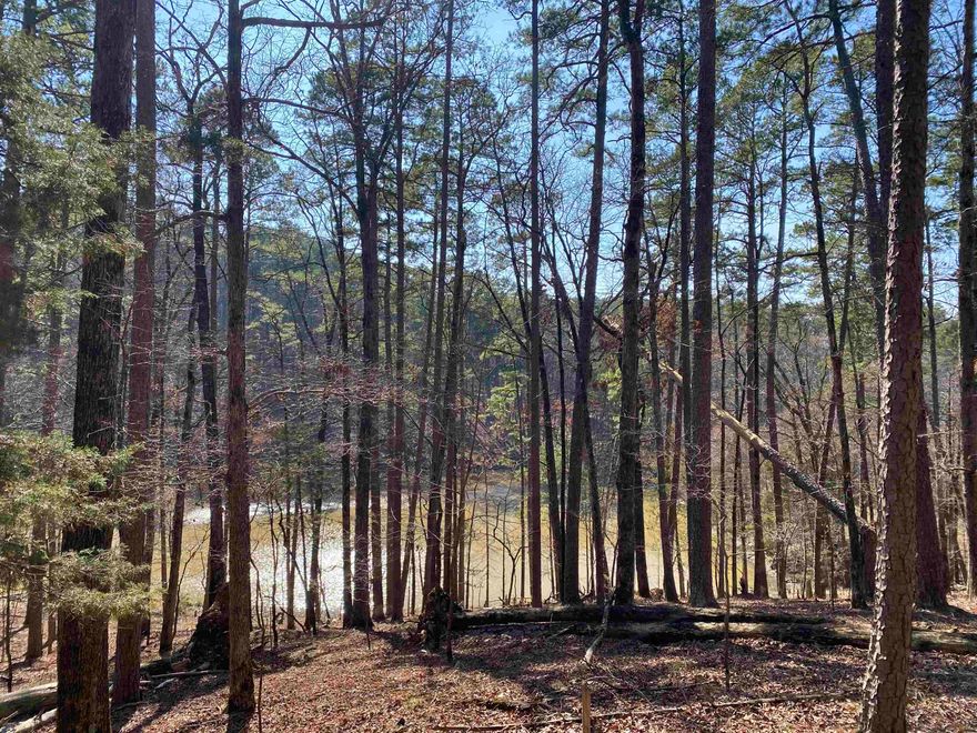 2.42 +/- acres located in the Harbor South subdivision at Mountain Harbor Resort overlooking a small lake!  This lot has not been touched and is covered in a mix of native trees and wildlife! Located on a nice street with beautiful homes and seconds away from the Harbor South Park which has a swimming pool and tennis/pickle ball court.  Minutes away from the Mountain Harbor lodge and marina.  Don't wait, lake season is approaching quickly!