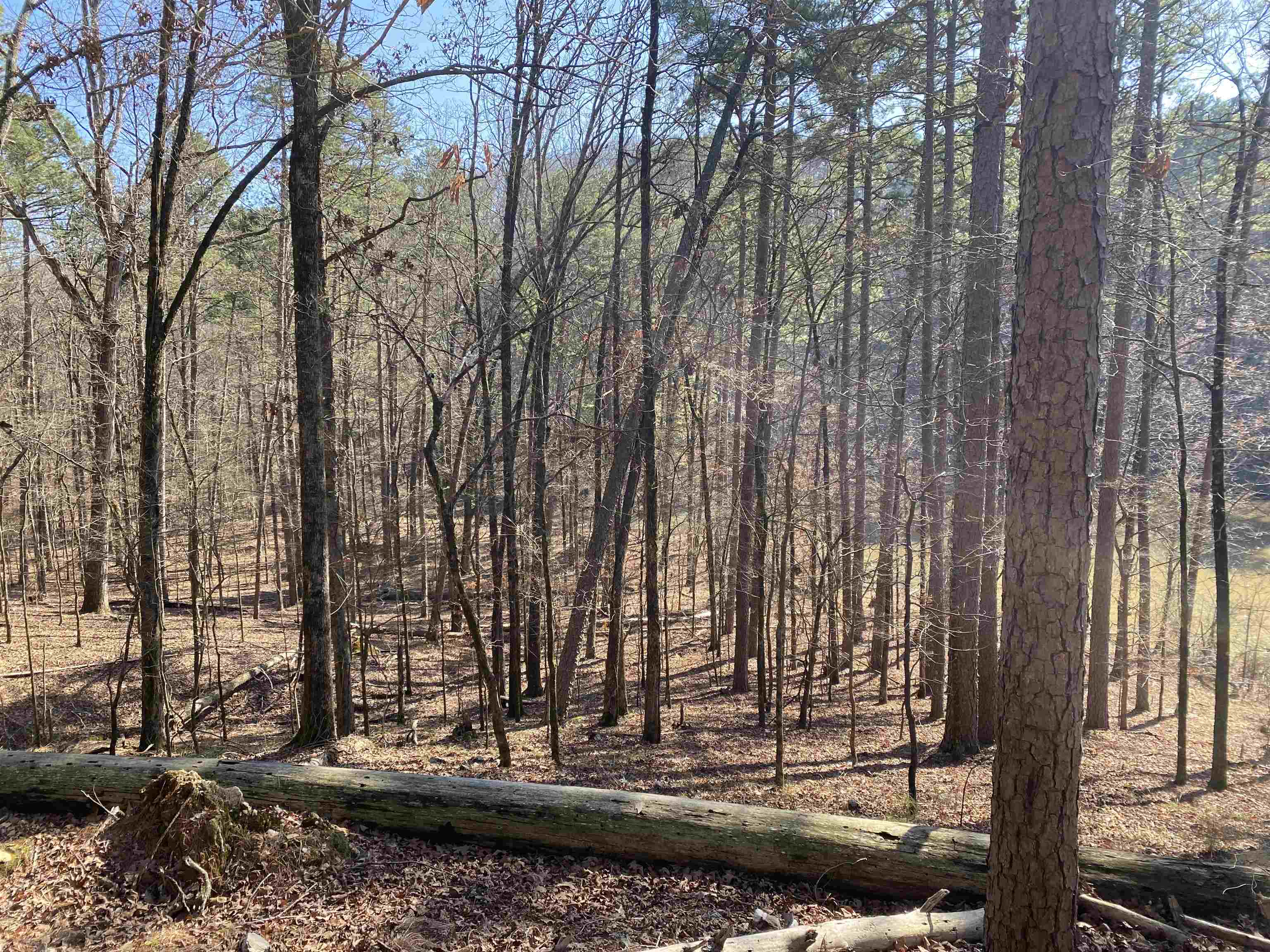 Hickory Nut Mountain Estates - Land