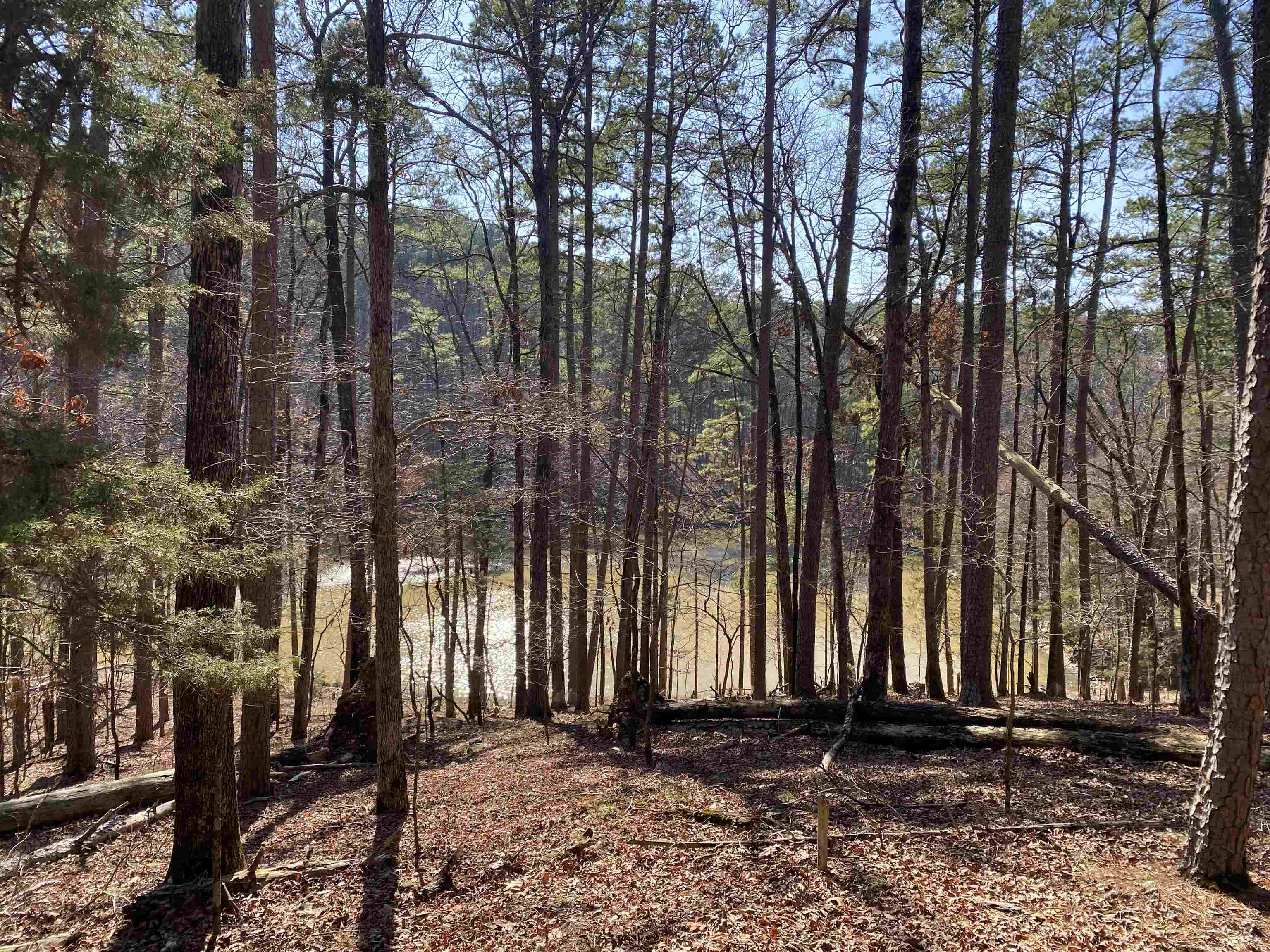 Hickory Nut Mountain Estates - Land