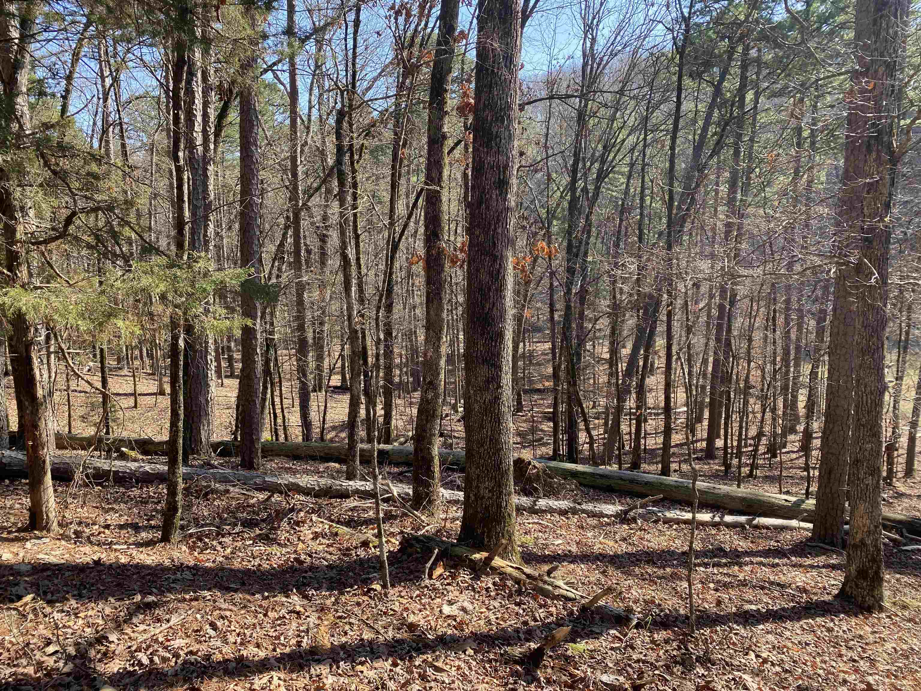 Hickory Nut Mountain Estates - Land