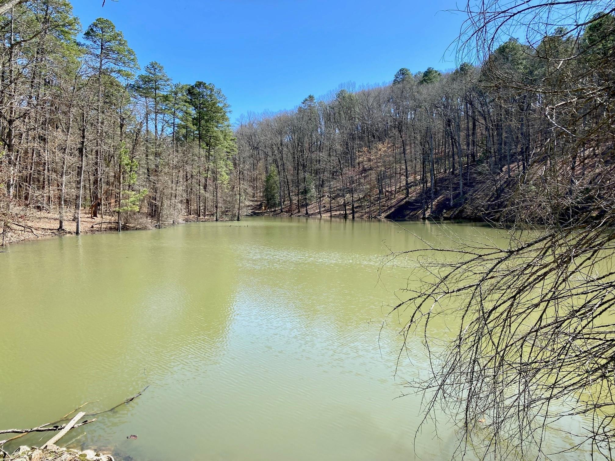 Hickory Nut Mountain Estates - Land