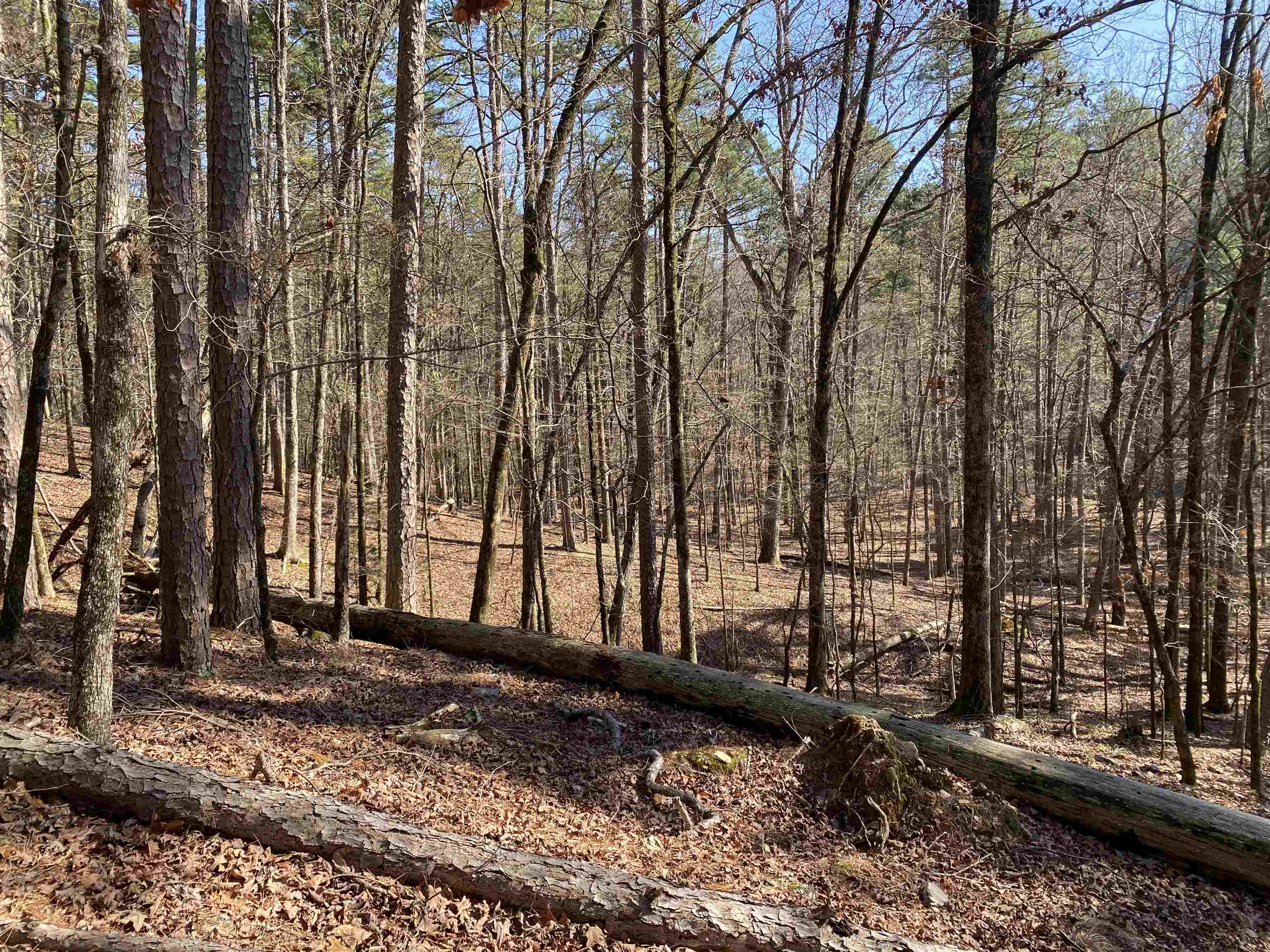 Hickory Nut Mountain Estates - Land