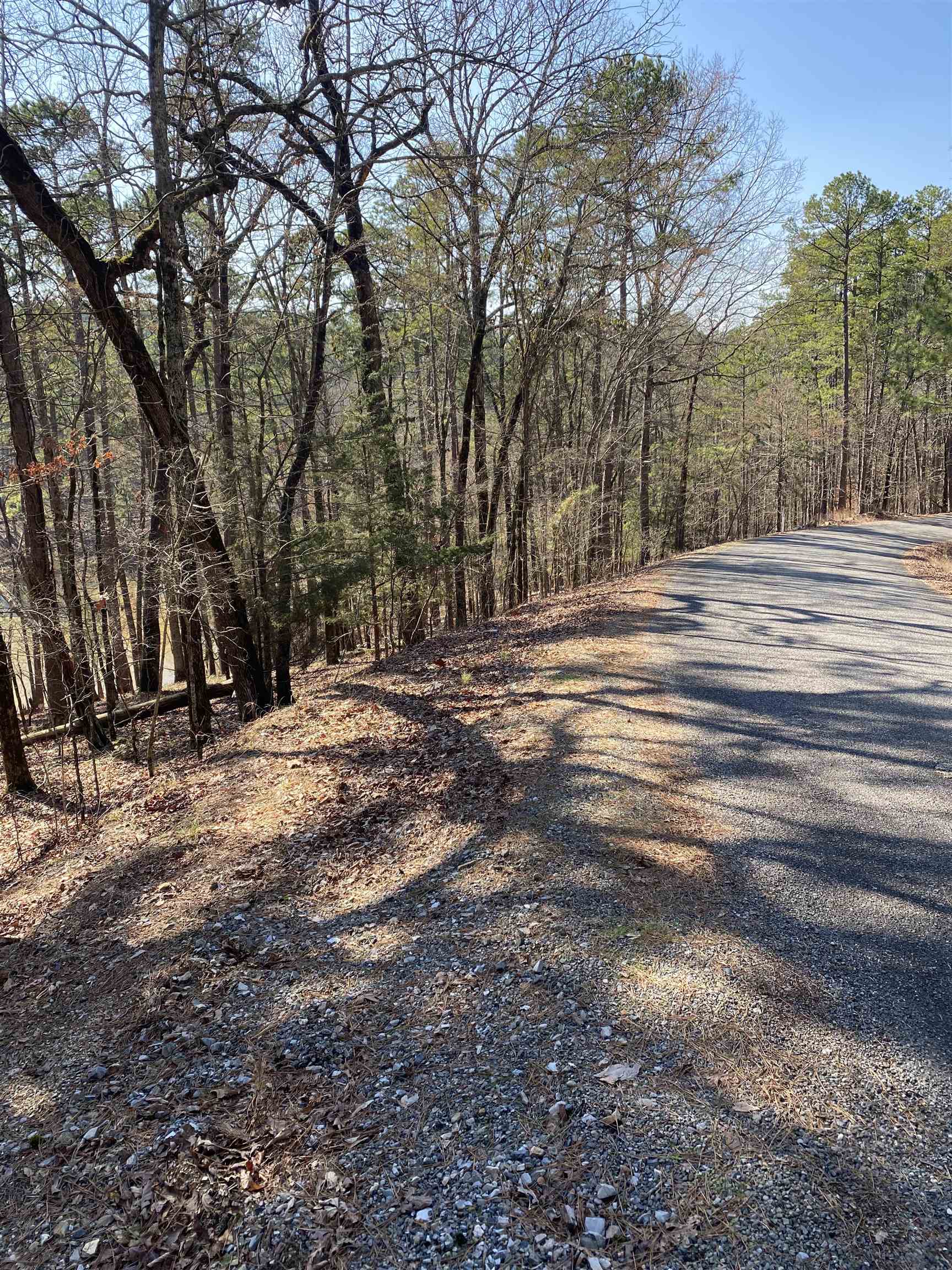 Hickory Nut Mountain Estates - Land