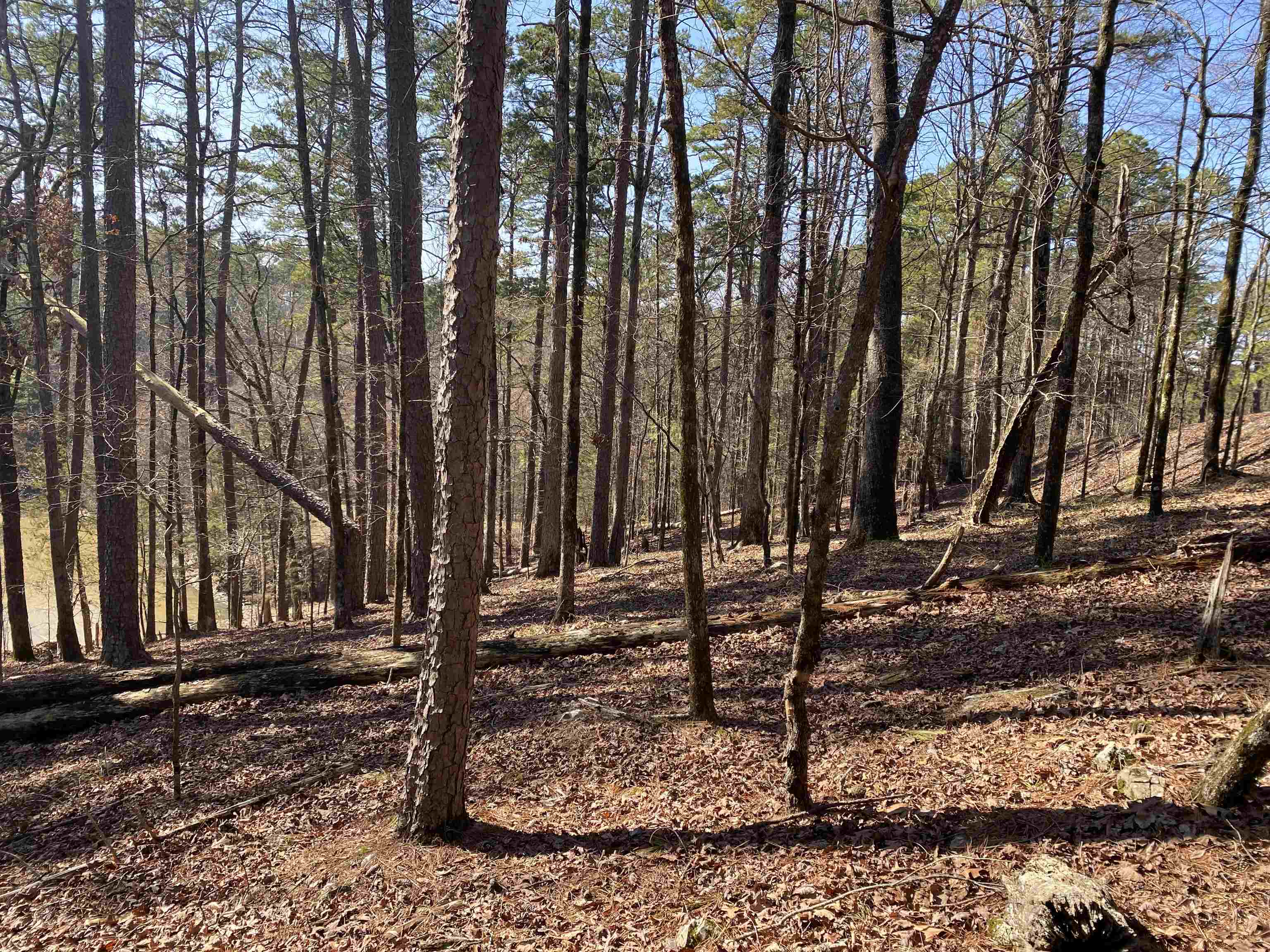 Hickory Nut Mountain Estates - Land