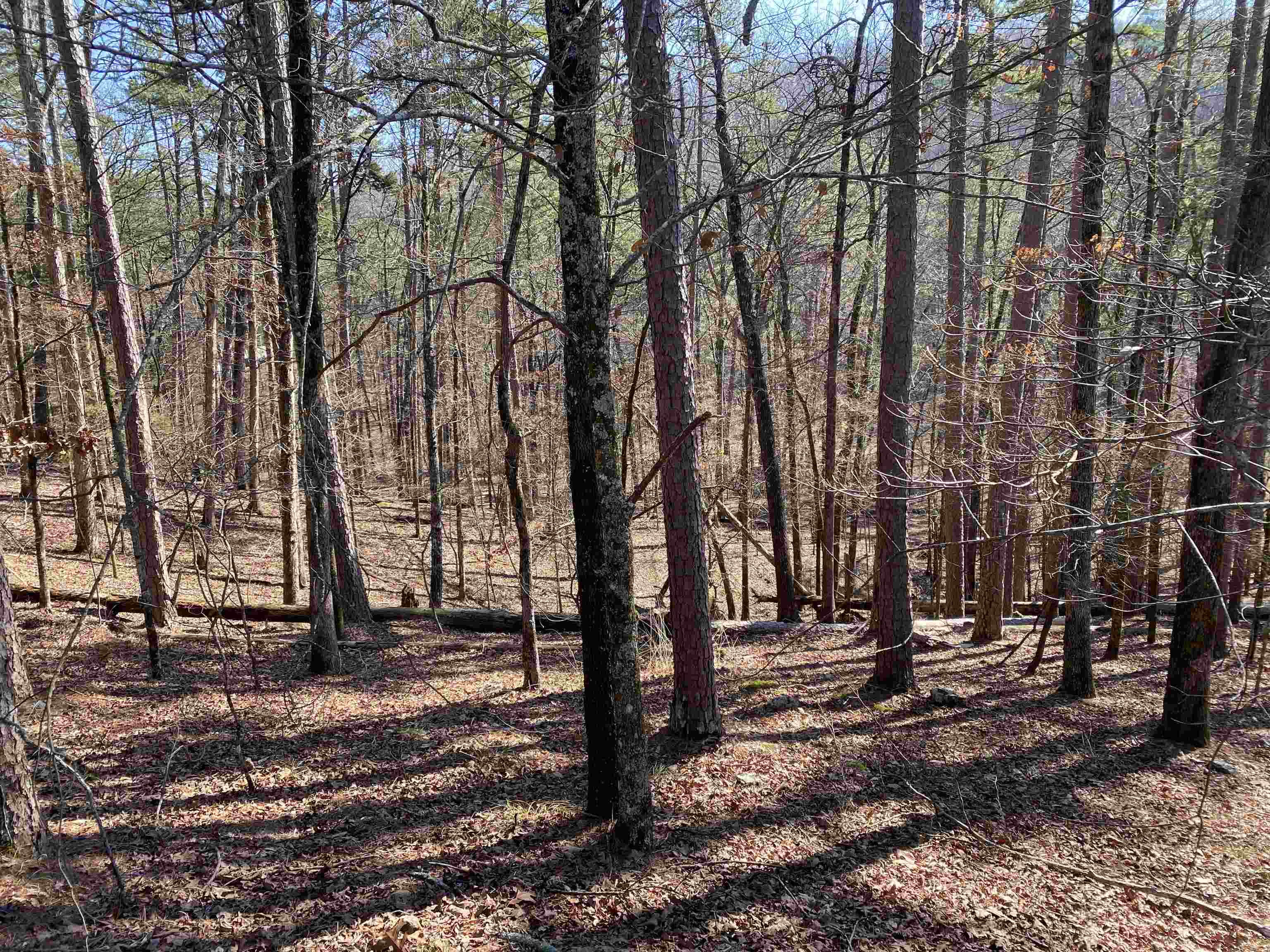Hickory Nut Mountain Estates - Land