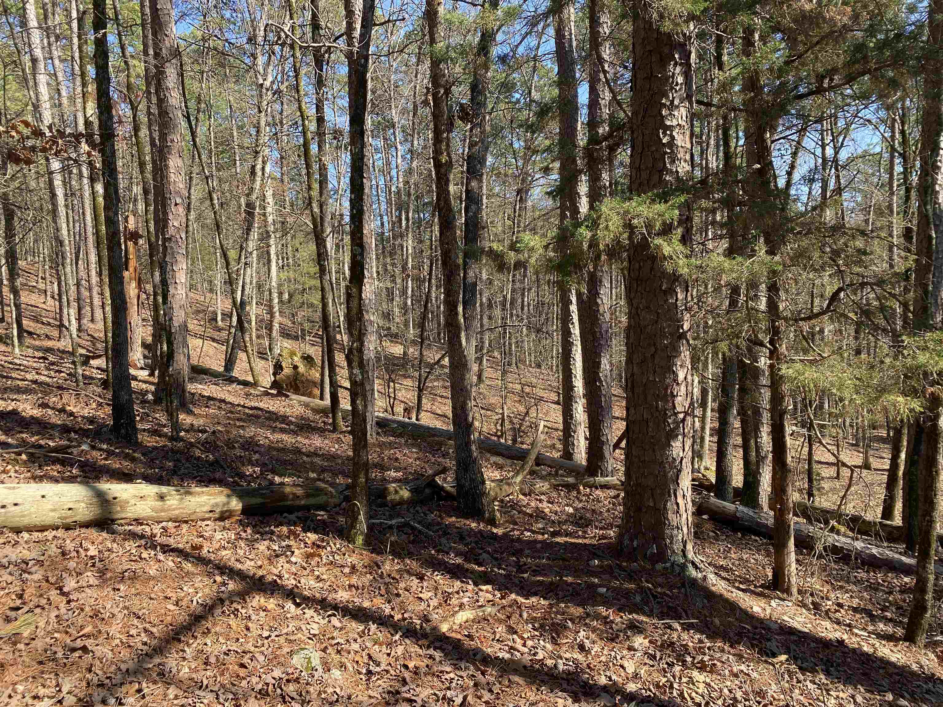 Hickory Nut Mountain Estates - Land