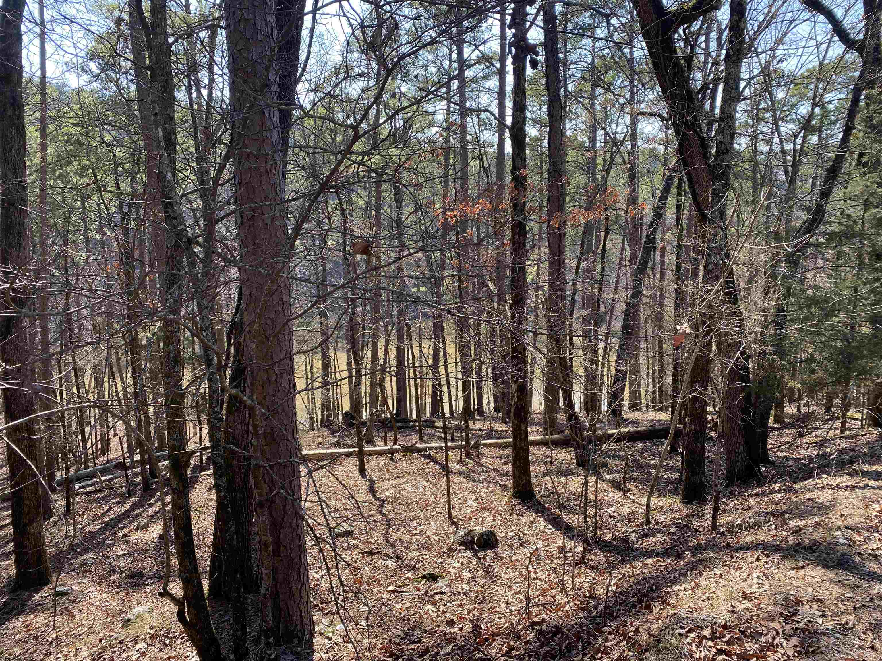 Hickory Nut Mountain Estates - Land