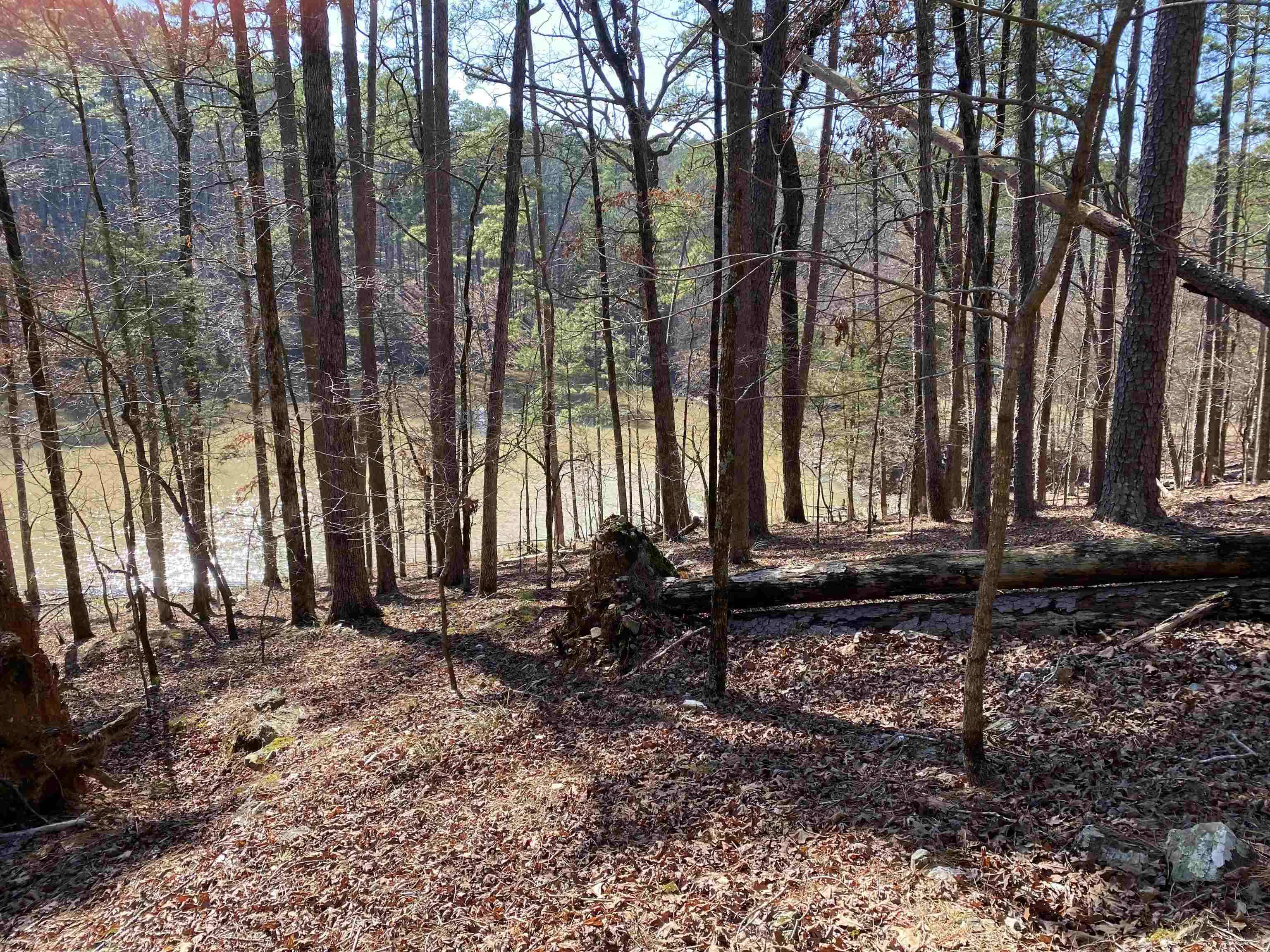 Hickory Nut Mountain Estates - Land