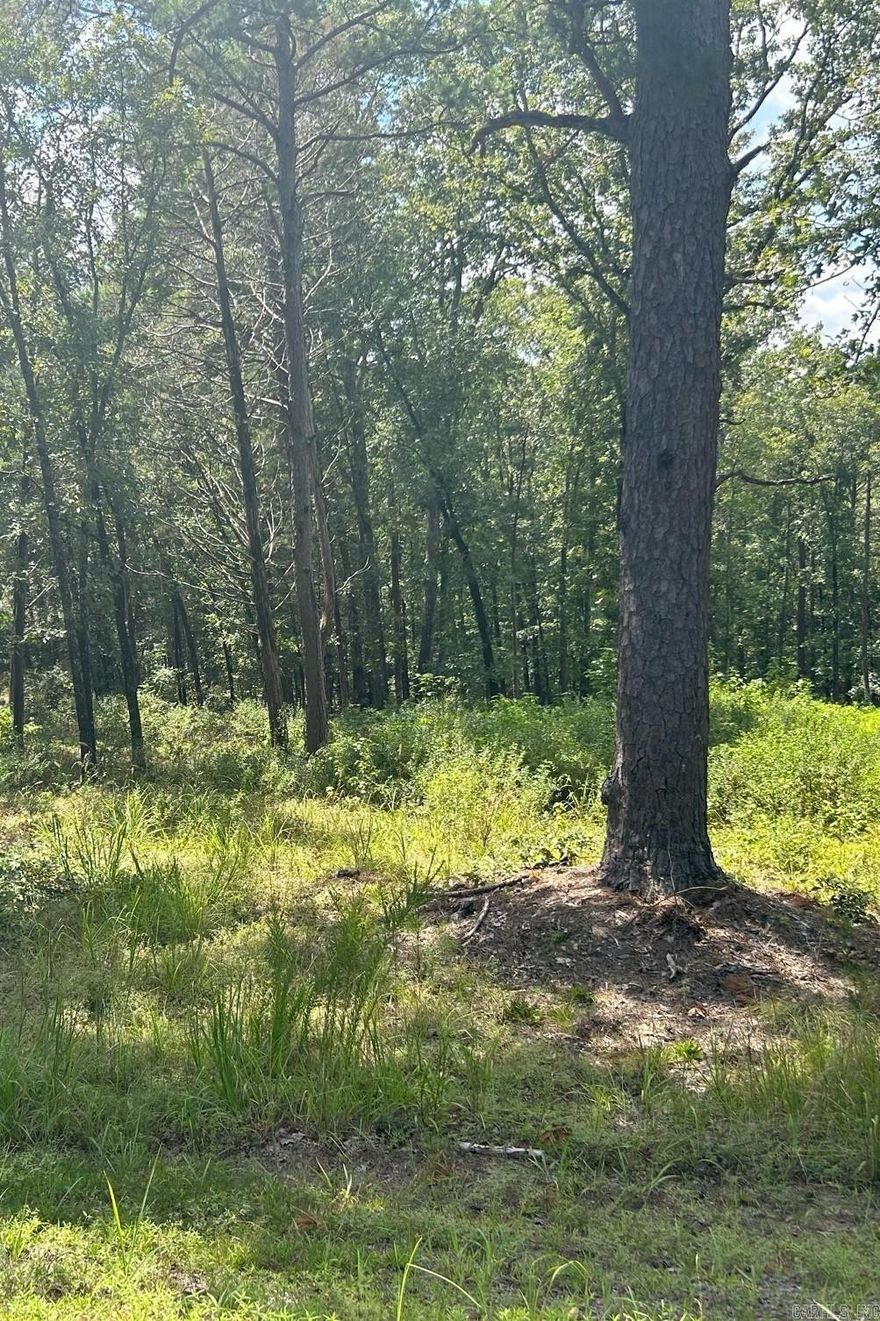 Great Lot, Winter views, Paved road