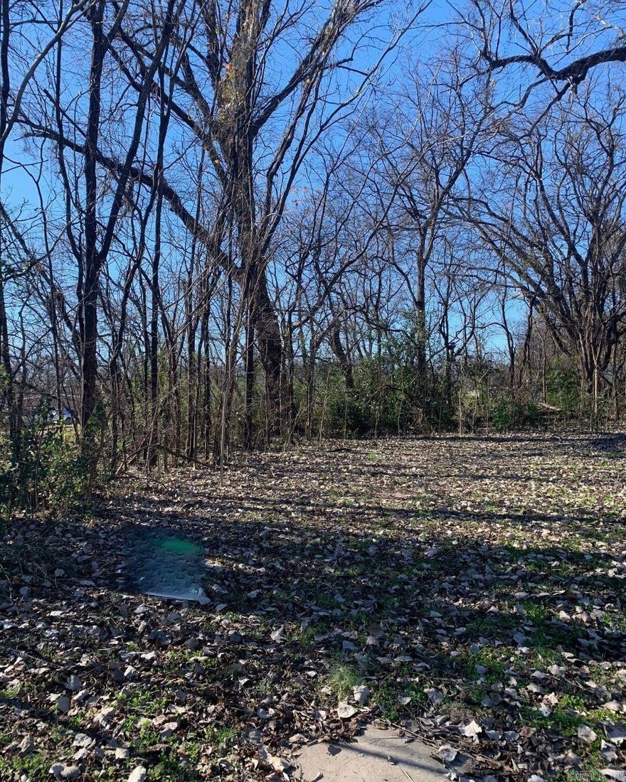 Opportunity to purchase two adjacent residential lots being sold together, offering approximately 0.08 acres combined. Perfect for a small footprint home, infill project, or long-term hold. Situated in an established neighborhood with surrounding development nearby. A rare chance to acquire side-by-side parcels and explore development potential. Buyer to verify all zoning, building requirements, and utility availability.