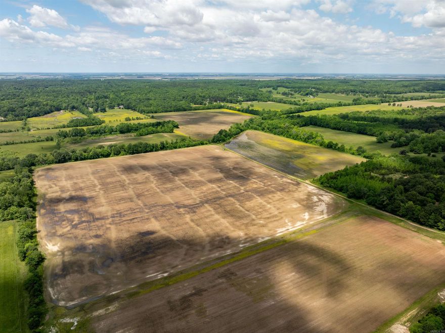 Excellent opportunity to own a great producing 141.25 +/- acre row crop farm in Jonesboro, Arkansas!This farm sits just off 141 Highway north of Jonesboro in Craighead County. Not only is this a good turn key row crop farm, but for the future, this would make a piece to hold onto for development!Currently, this farm is being leased out on a 25/75 crop share with 25% to the landowner.  Reported production in the past has been averaging 175 dry bushels per acre for rice and soybeans, over 45 bushels per acre on the east side of the creek, and 33 bushels per acre on the west side of the creek, with farmers rotating rice and soybeans each year!  There are two wells on the property with underground piping and risers.  Per FSA, base acres for Wheat are 43, Grain Sorghum 4.61,Rice-Long Grain 70.20, Rice-Medium Grain 6.70, Farmland is 141.47 +/- acres, and Cropland is 124.51 +/- acres—no structures on this farm.  The majority of this farm is level.All mineral rights seller owns will convey!