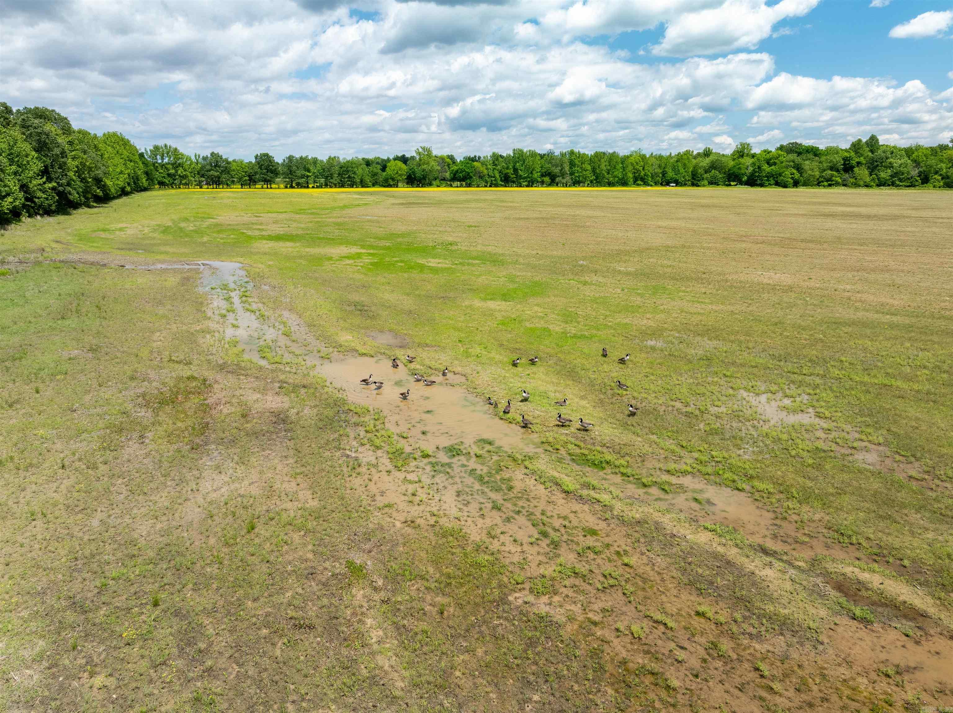 Metes & Bounds - Farm