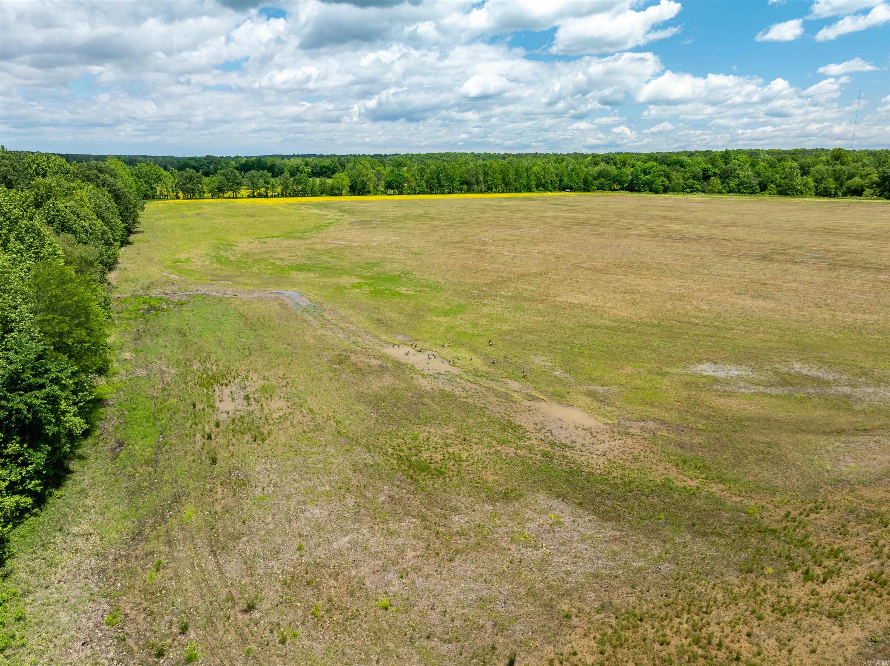 Metes & Bounds - Farm