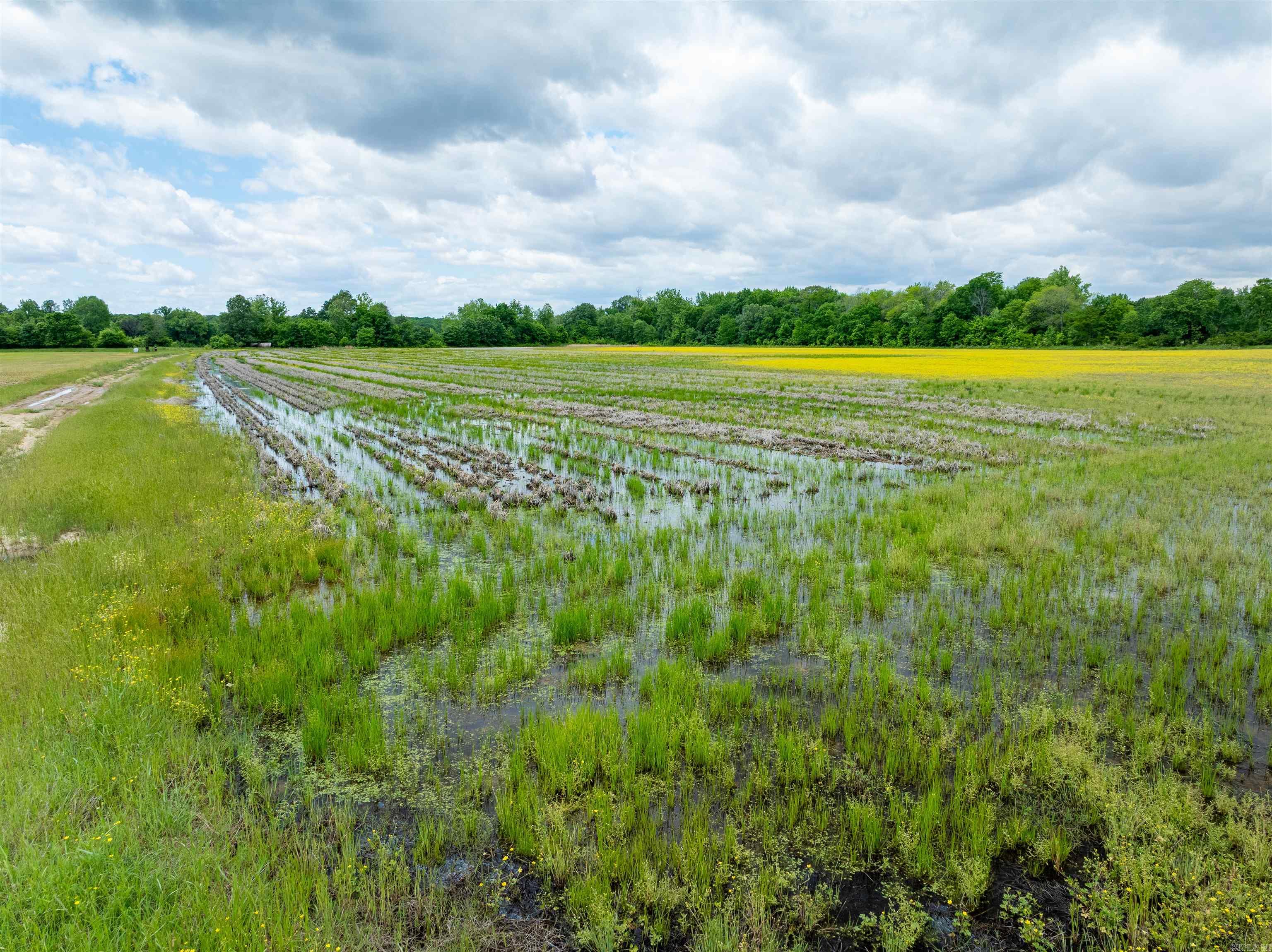 Metes & Bounds - Farm