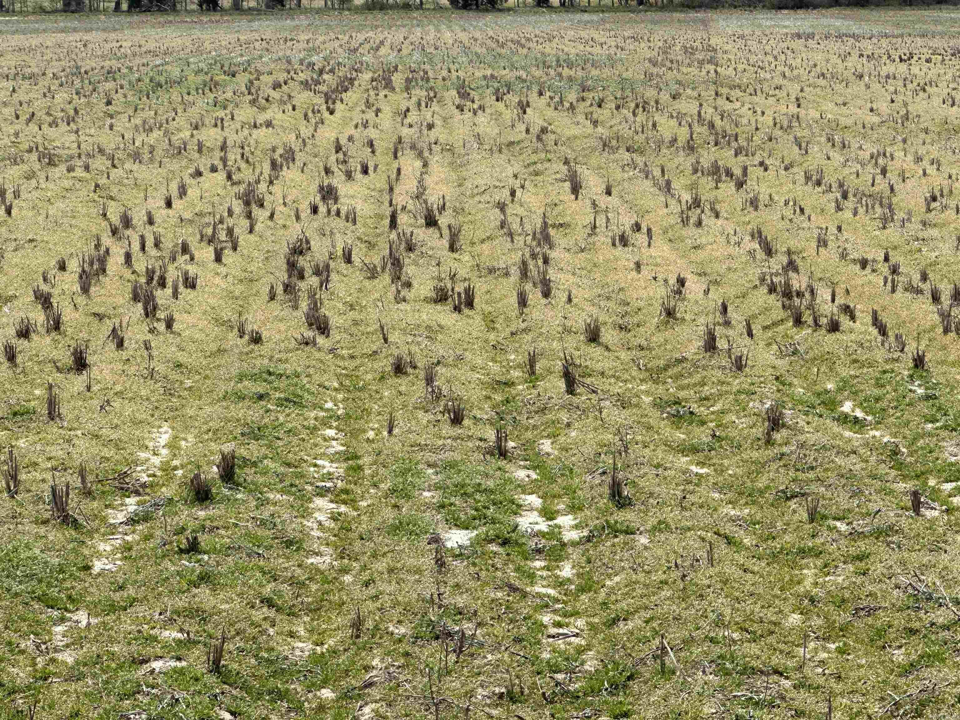 Metes & Bounds - Farm