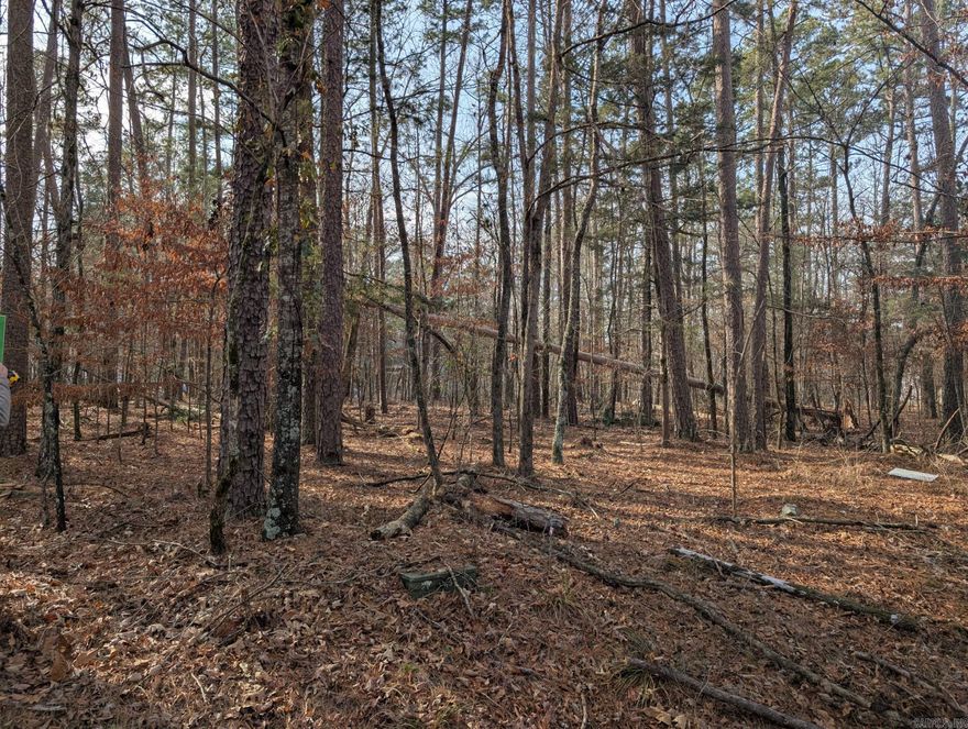 Beautiful flat wooded lot, close to cortez golf course. Come see this lot to build your home on and be surrounded by trees.