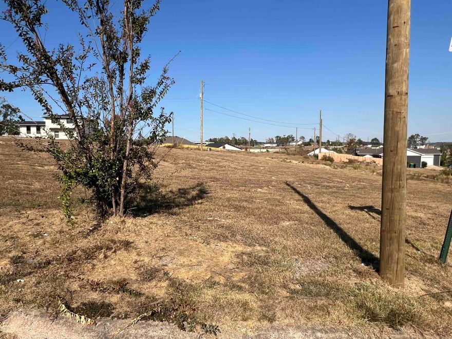 Builders, home owners, investors! Don’t miss out this fantastic opportunity to build on this 0.27 acre lot! Located in a welcoming established neighborhood of Walnut Valley subdivision, this cleared corner lot is ready for your dream home or next investment project! It offers great value with new homes nearby. Enjoy the convenience of being close to shopping, dining, schools, churches and other businesses, it is easy access to highway. Utilities are already on site.