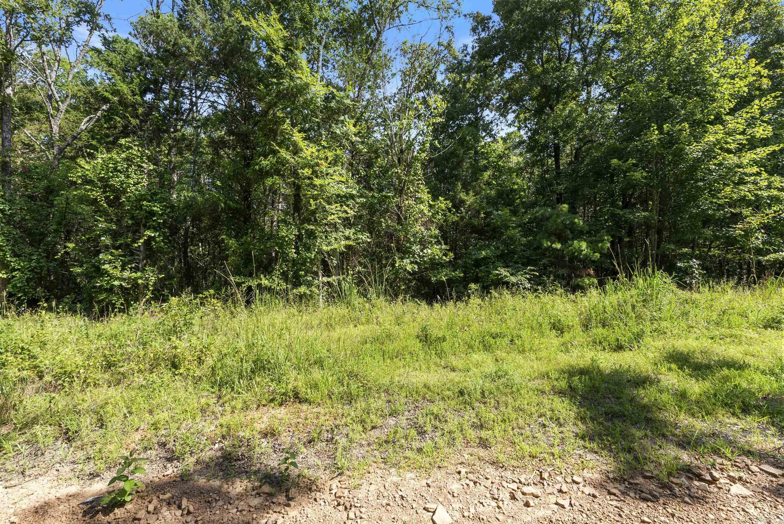Prime 10 Acres of Wooded Property located in the foothills of the Ozark Mountains. This property is private and unimproved making it a blank slate for your next home, weekend cabin/retreat, off grid living, and hunting and recreational uses while still being close to Shirley and Fairfield Bay and both Greer's Ferry Lake and the Middle Fork of the Little Red River. Limited info at this time regarding utilities. 20 Minutes from Clinton, 25 Minutes from Mountain View- this property is calling your name! Come check it out today.