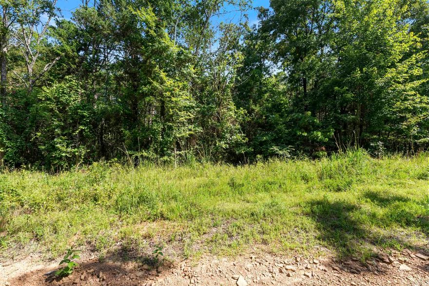 Prime 10 Acres of Wooded Property located in the foothills of the Ozark Mountains. This property is private and unimproved making it a blank slate for your next home, weekend cabin/retreat, off grid living, and hunting and recreational uses while still being close to Shirley and Fairfield Bay and both Greer's Ferry Lake and the Middle Fork of the Little Red River. Limited info at this time regarding utilities. 20 Minutes from Clinton, 25 Minutes from Mountain View- this property is calling your name! Come check it out today.