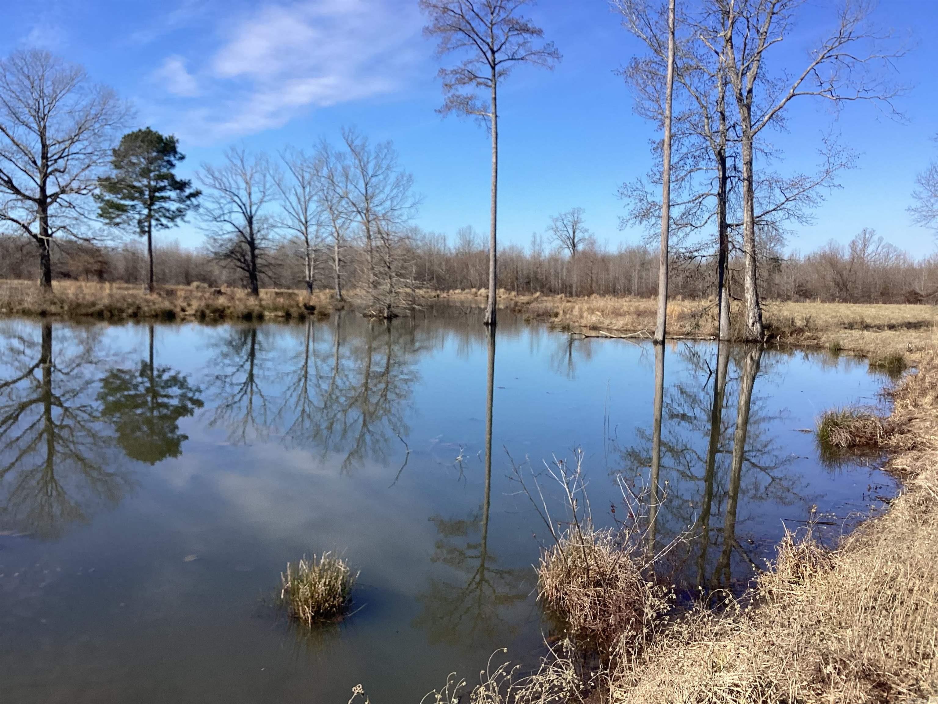 Hunters Paradise!!!! Recreational property, DUCKS, DEER, TURKEY, HOGS!! If you want hunting land this is it, approximately 35 acres timber and 85 acres pasture. Three ponds with a creek that floods to provide plenty of water for ducks. Graze cattle on pasture or cut hay. Secluded property with a good gravel road and legal easement, come look!!