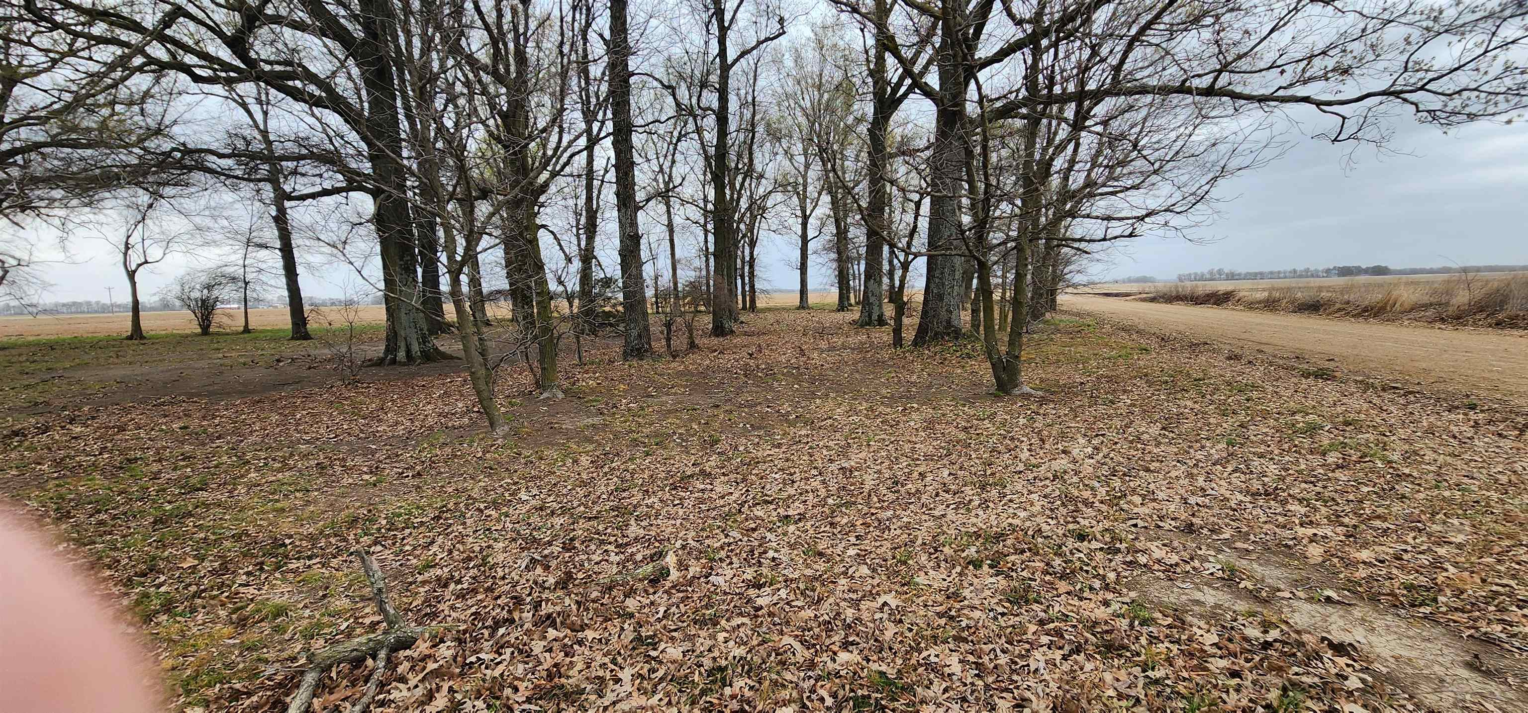 Randolph County - Residential