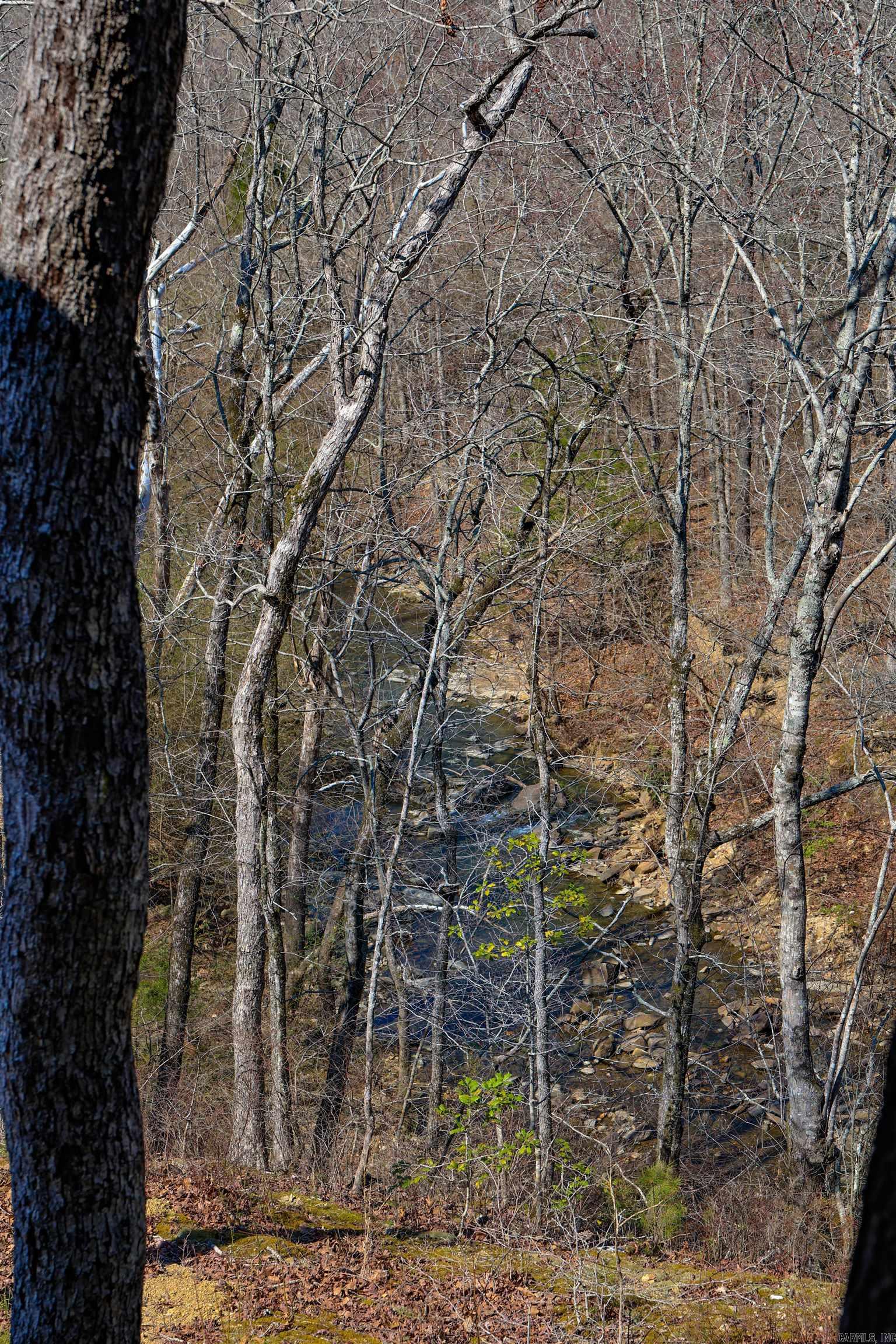 RIVERCHASE - Residential