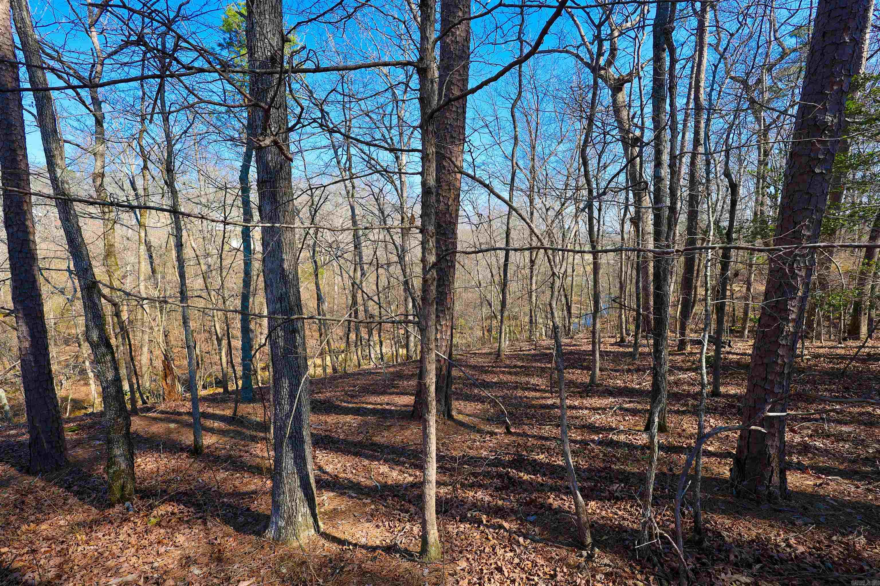 RIVERCHASE - Residential