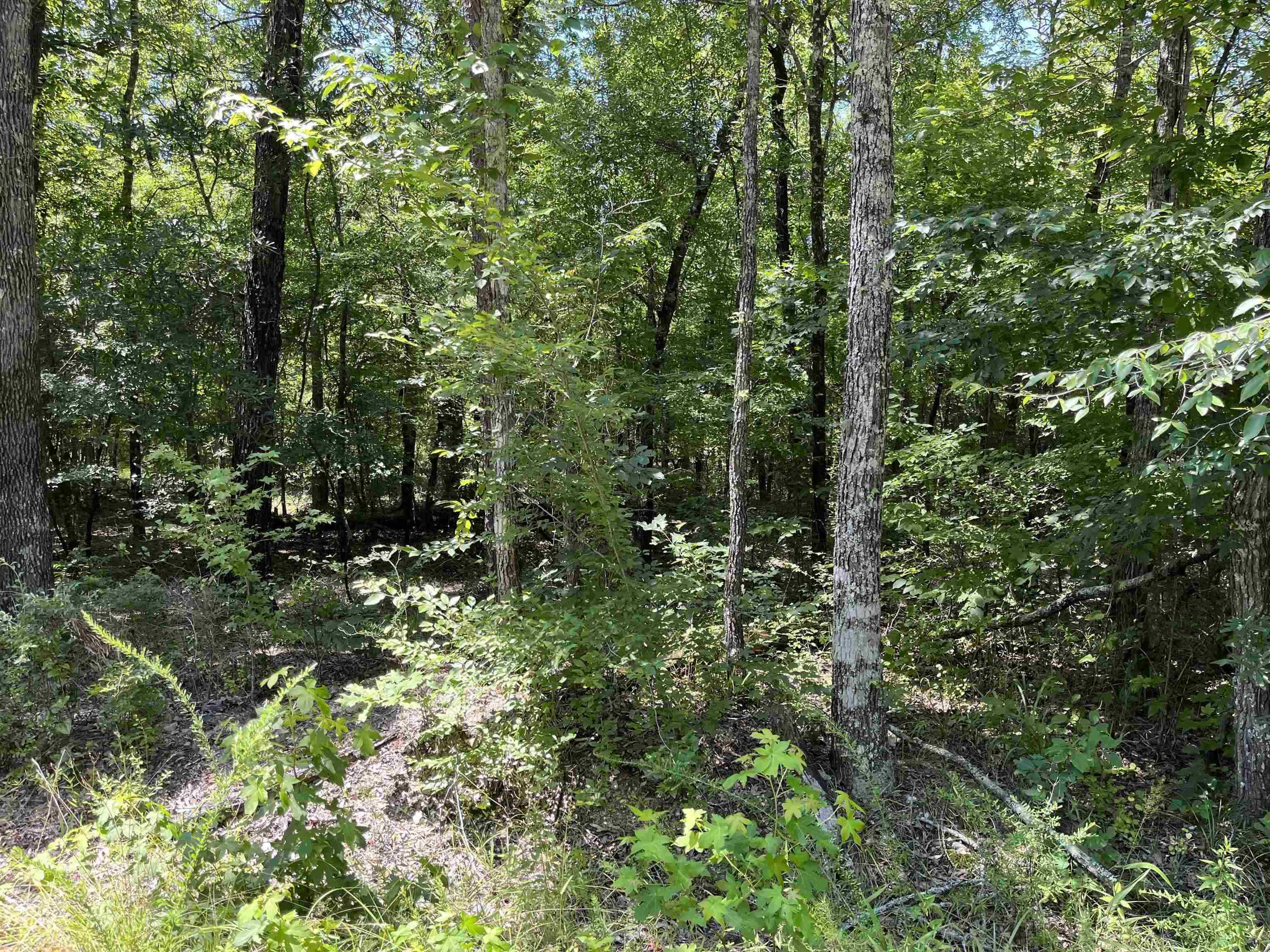 This lot is listed for $1.00 WITH PURCHASE of 106 Murillo Way, or for $5000.00 if PURCHASED INDIVIDUALLY. (These lots are not adjoining and are in separate locations.) A beautiful, level corner lot, that is perfect for the new build of your dream home, second home, or vacation rental in beautiful Hot Springs Village. In a well-established neighborhood within minutes of Lake Coronado, with new construction in the vicinity for comps, this lot gives you privacy as it is not surrounded by or near any homes. Come experience "Village" life and all it has to offer, as North America's largest gated community with year-round golfing on one of 9 professionally designed golf courses, 11 lakes, miles of walking, biking, and hiking trails, that boasts something for everyone. Come live the life you love! A one-time buy in fee of $300.00 to be paid at closing.