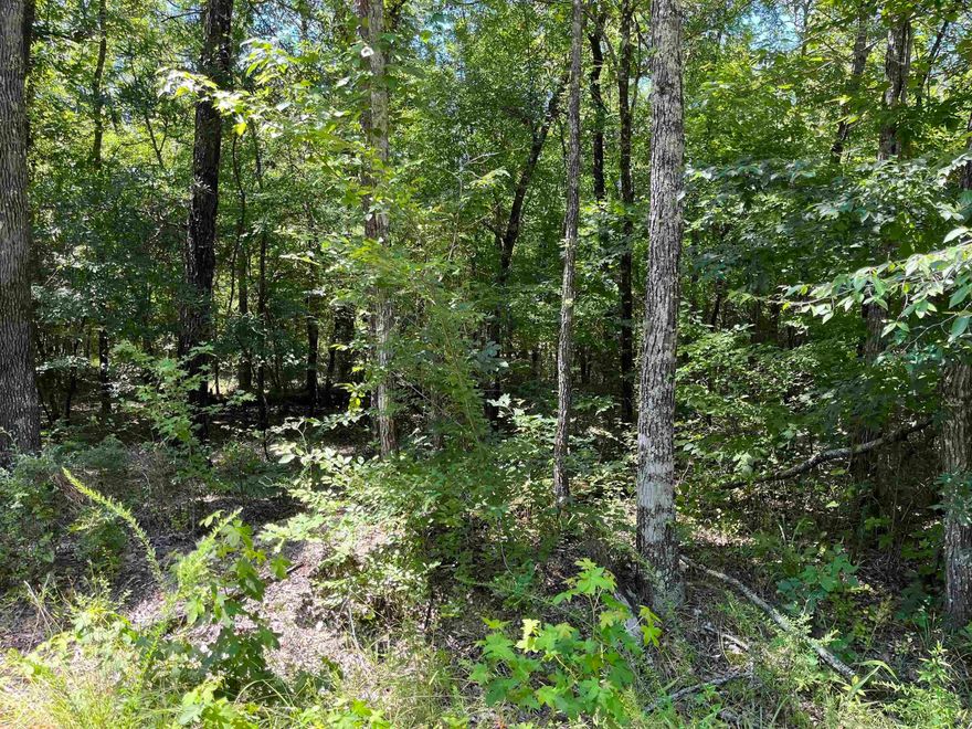 This lot is listed for $1.00 WITH PURCHASE of 106 Murillo Way, or for $5000.00 if PURCHASED INDIVIDUALLY. (These lots are not adjoining and are in separate locations.)  A beautiful, level corner lot, that is perfect for the new build of your dream home, second home, or vacation rental in beautiful Hot Springs Village. In a well-established neighborhood within minutes of Lake Coronado, with new construction in the vicinity for comps, this lot gives you privacy as it is not surrounded by or near any homes. Come experience "Village" life and all it has to offer, as North America's largest gated community with year-round golfing on one of 9 professionally designed golf courses, 11 lakes, miles of walking, biking, and hiking trails, that boasts something for everyone. Come live the life you love! A one-time buy in fee of $300.00 to be paid at closing.