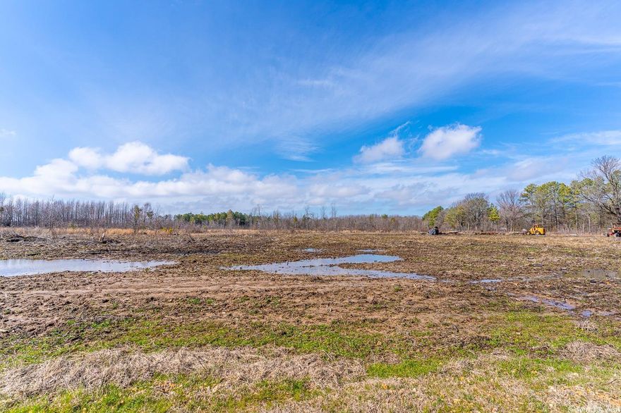 Welcome to Market 38 +/- acres on the corner of Greene 810 and Greene 865 Rd! This property is partially cleared already and ready for you to build! This property is located just far enough out of town to have privacy but still close enough to be convenient to shopping, restaurants, and schools. This property has so many possibilities! This property won't last long and from what I hear, they aren't making land anymore so call today to make this property yours!