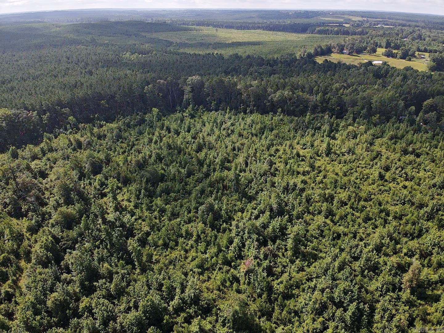 Fantastic 20 acres with timber on. Come check it out.