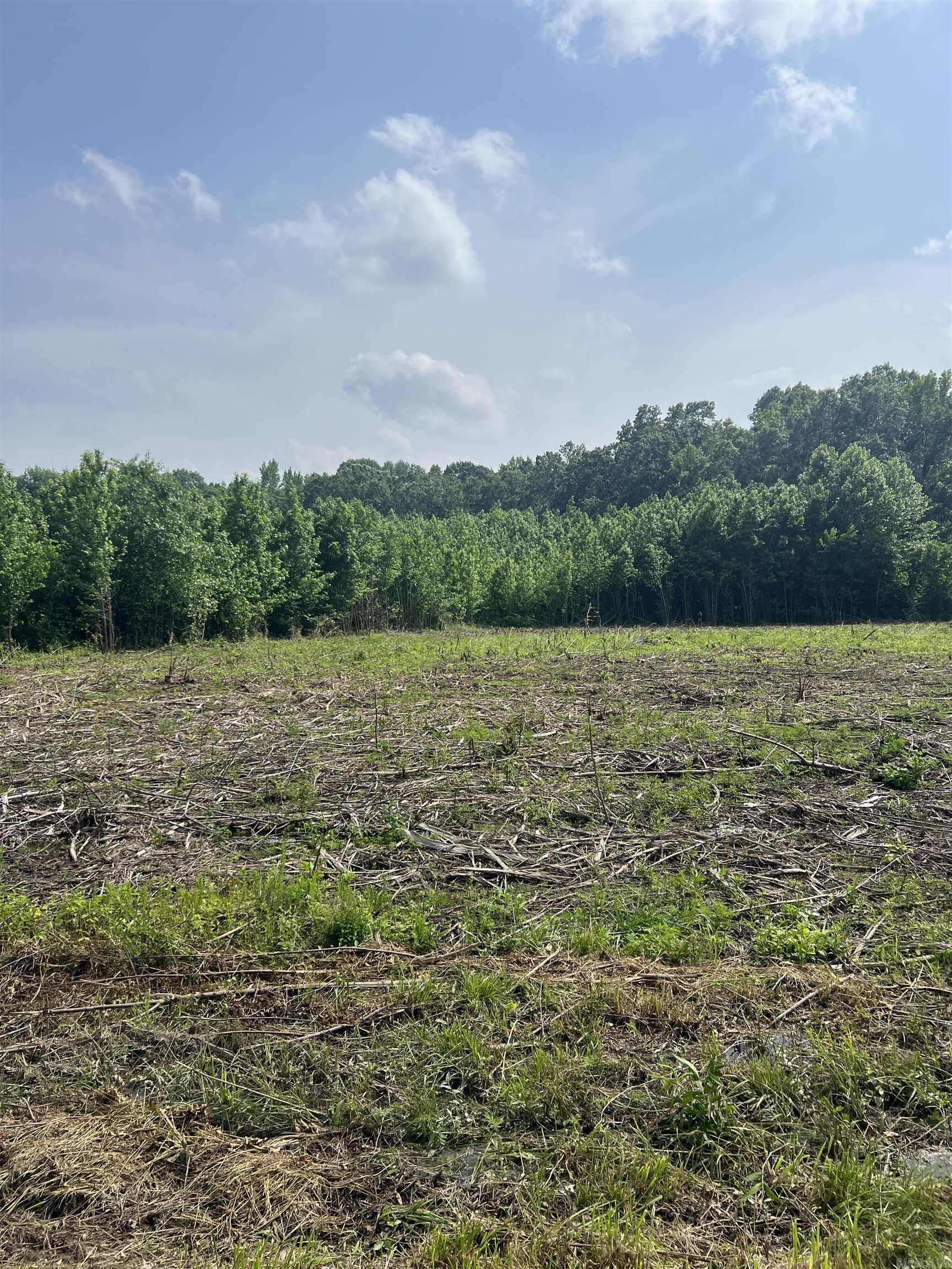 Dripping Springs Landing - Land