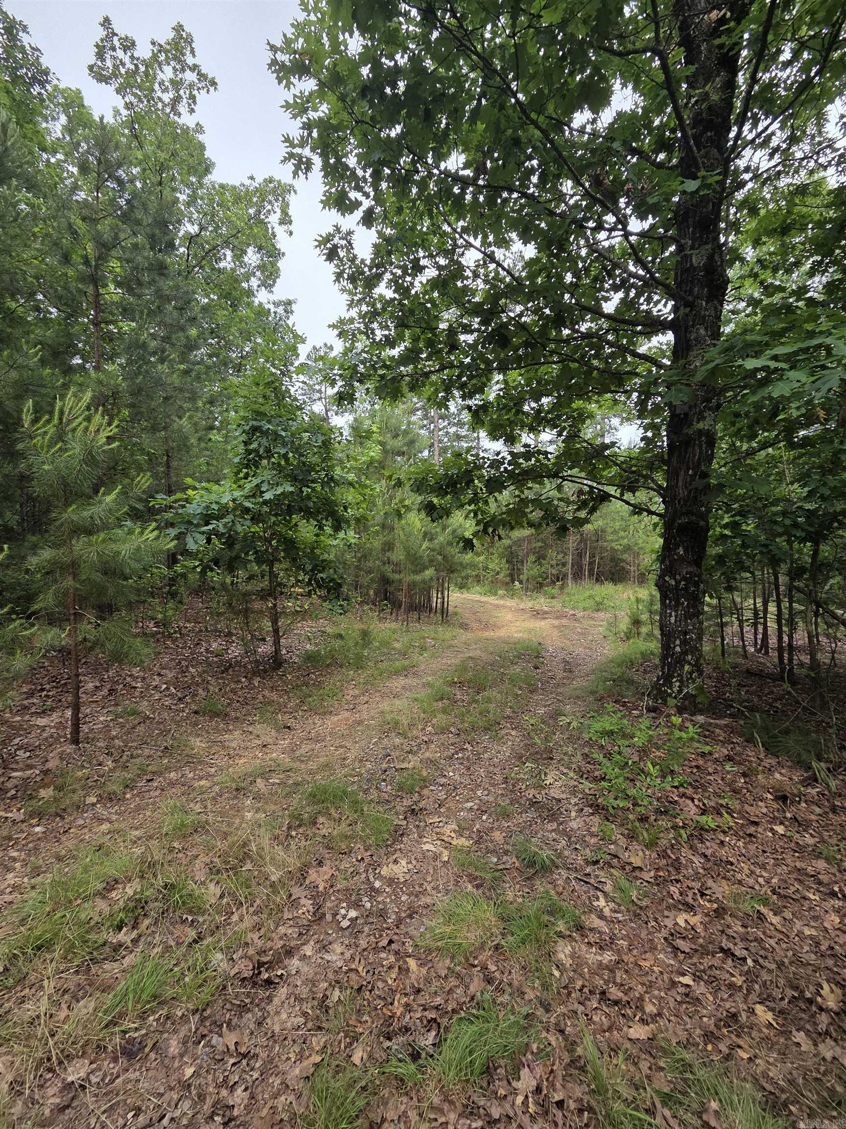Not in Subdivision - Land