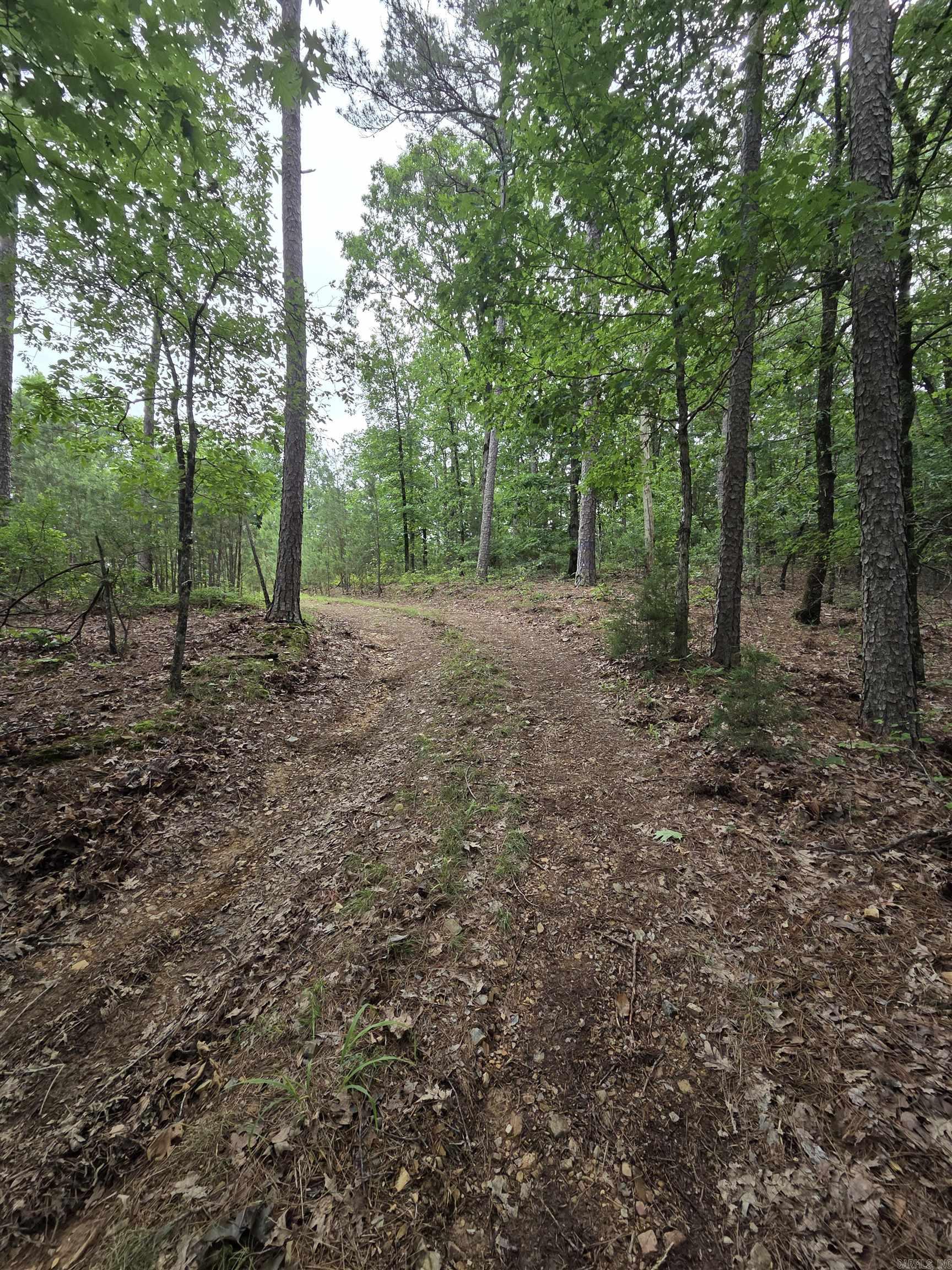 Not in Subdivision - Land