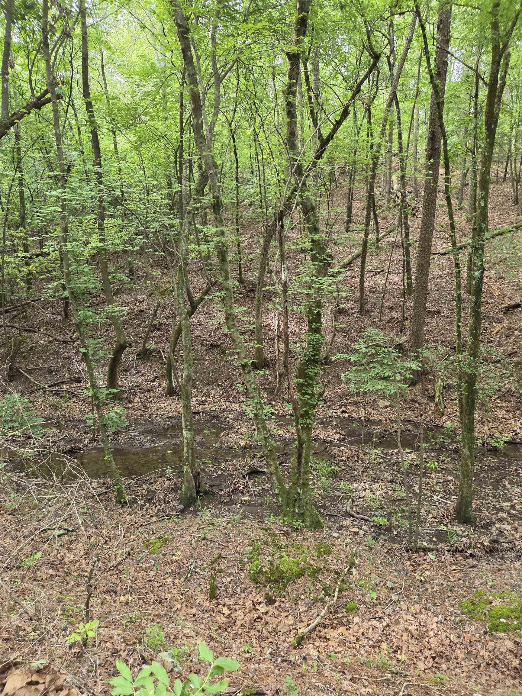 Not in Subdivision - Land