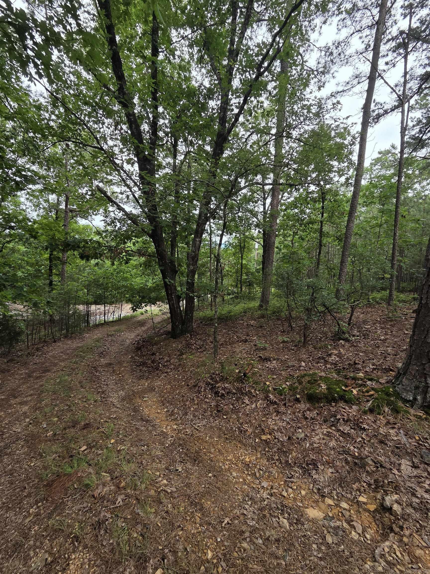 Not in Subdivision - Land