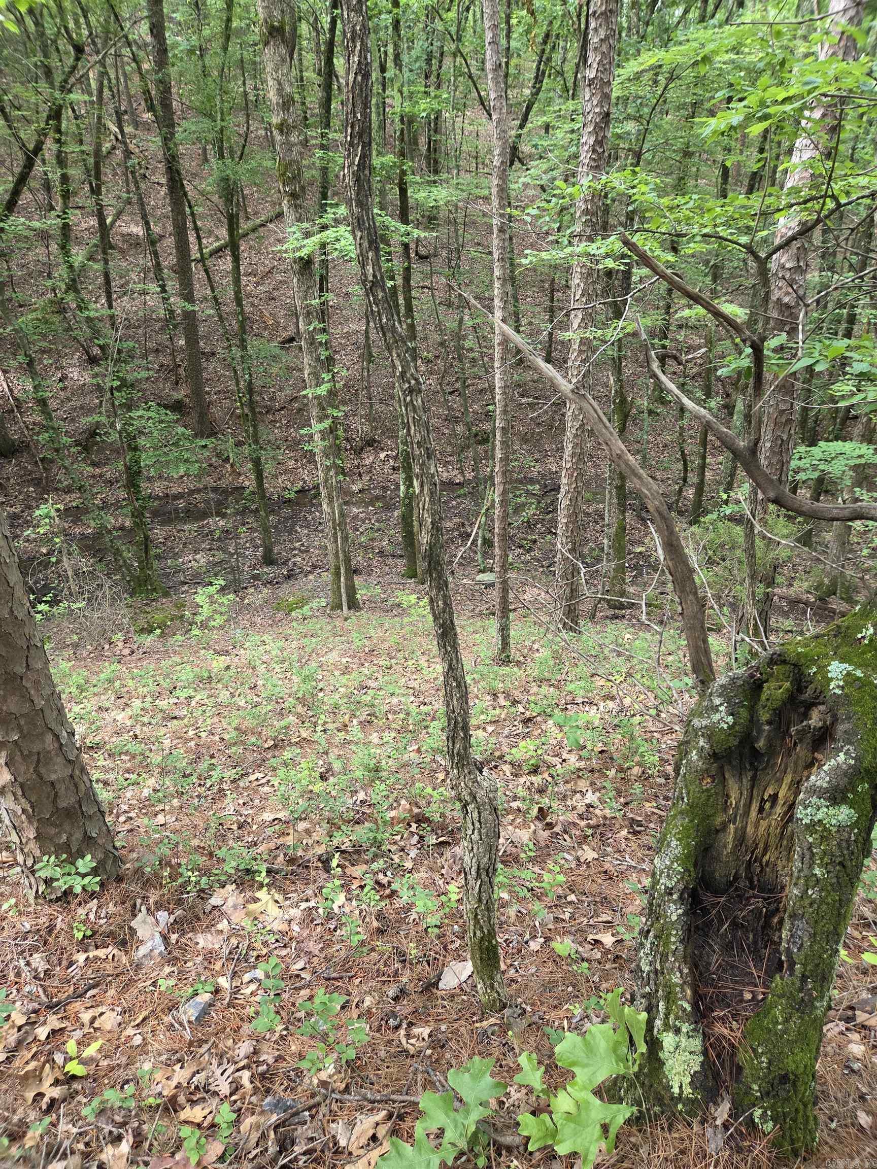 Not in Subdivision - Land