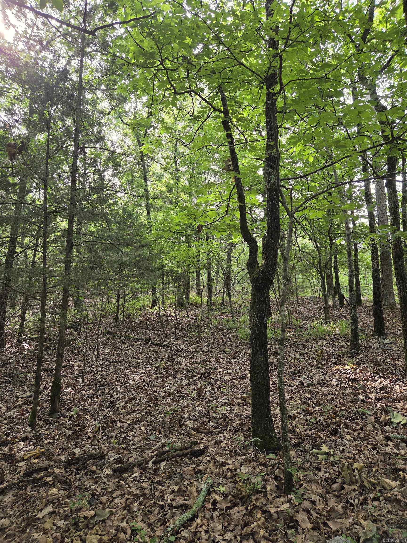 Not in Subdivision - Land